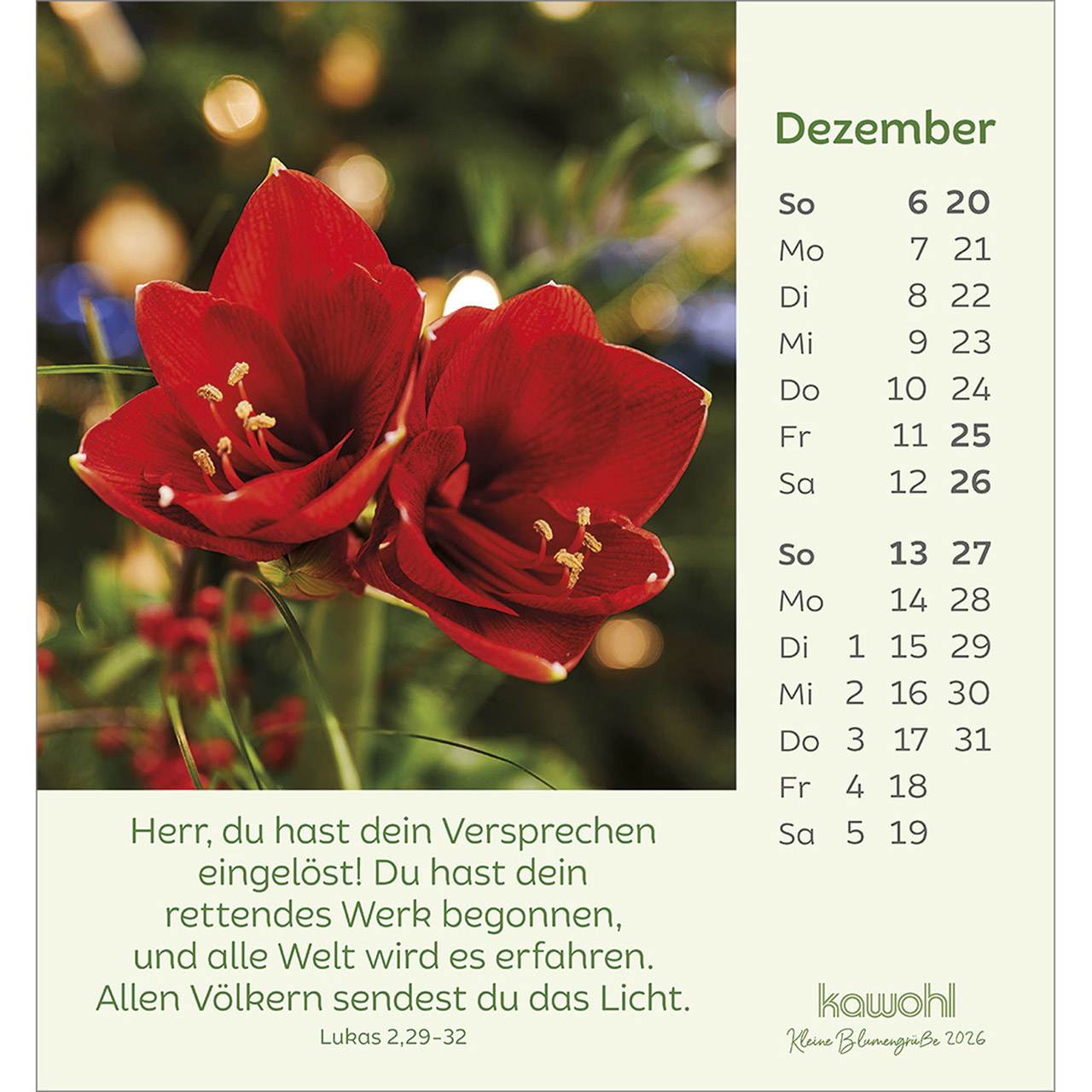 9783754847060_innenansicht_12.jpg