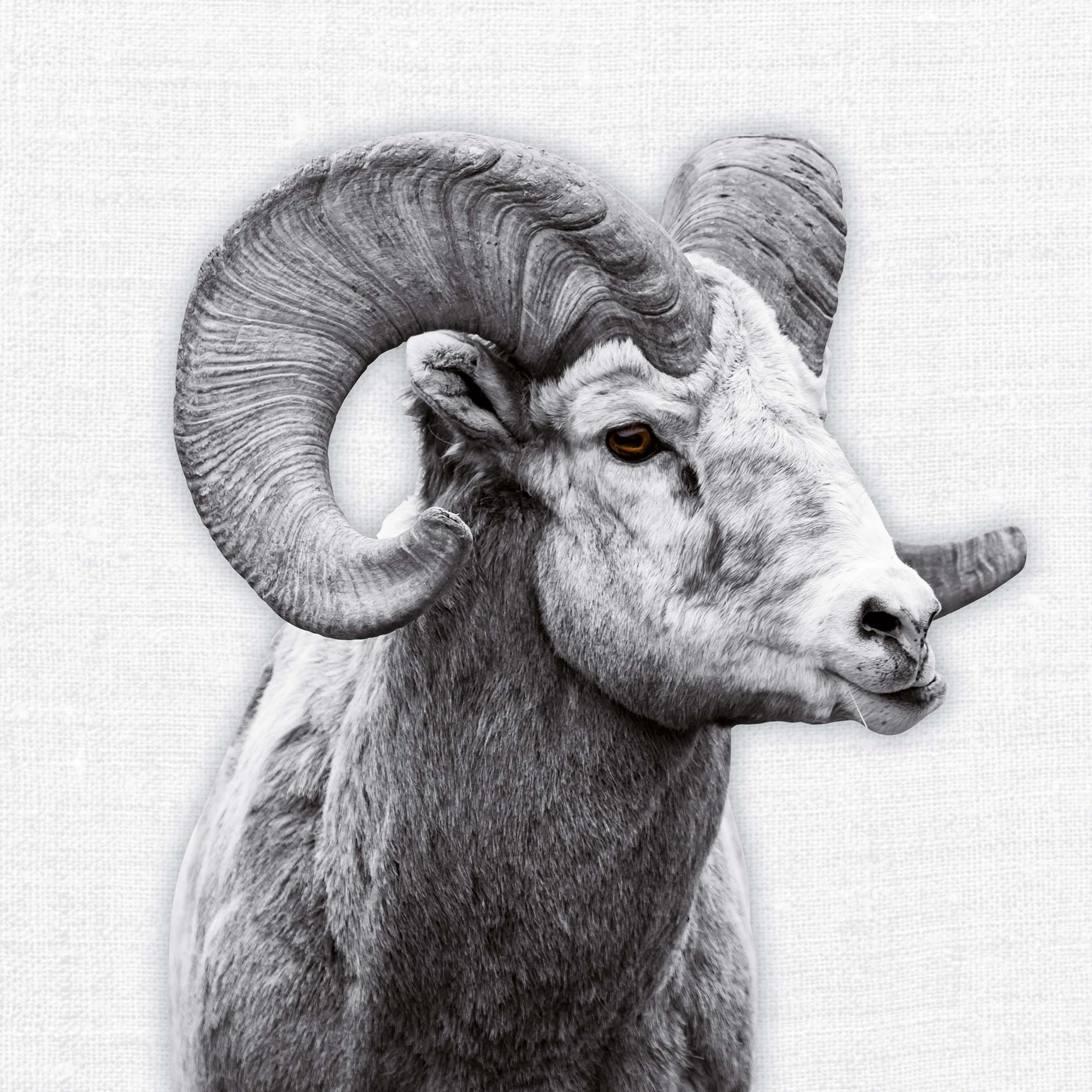 9783959295284_innenansicht_03 9783959295284_innenansicht_03.jpg