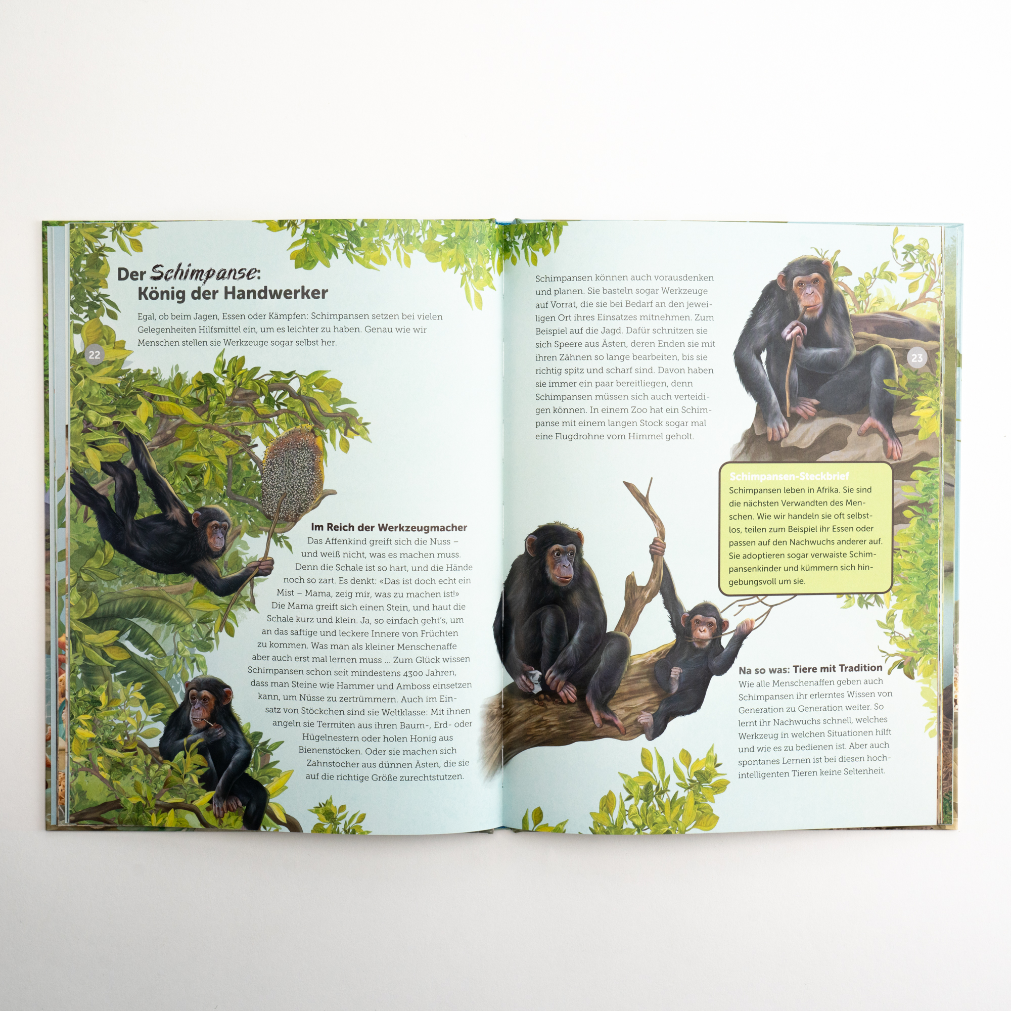 9783757101268_innenansicht_01 9783757101268_innenansicht_01.jpg