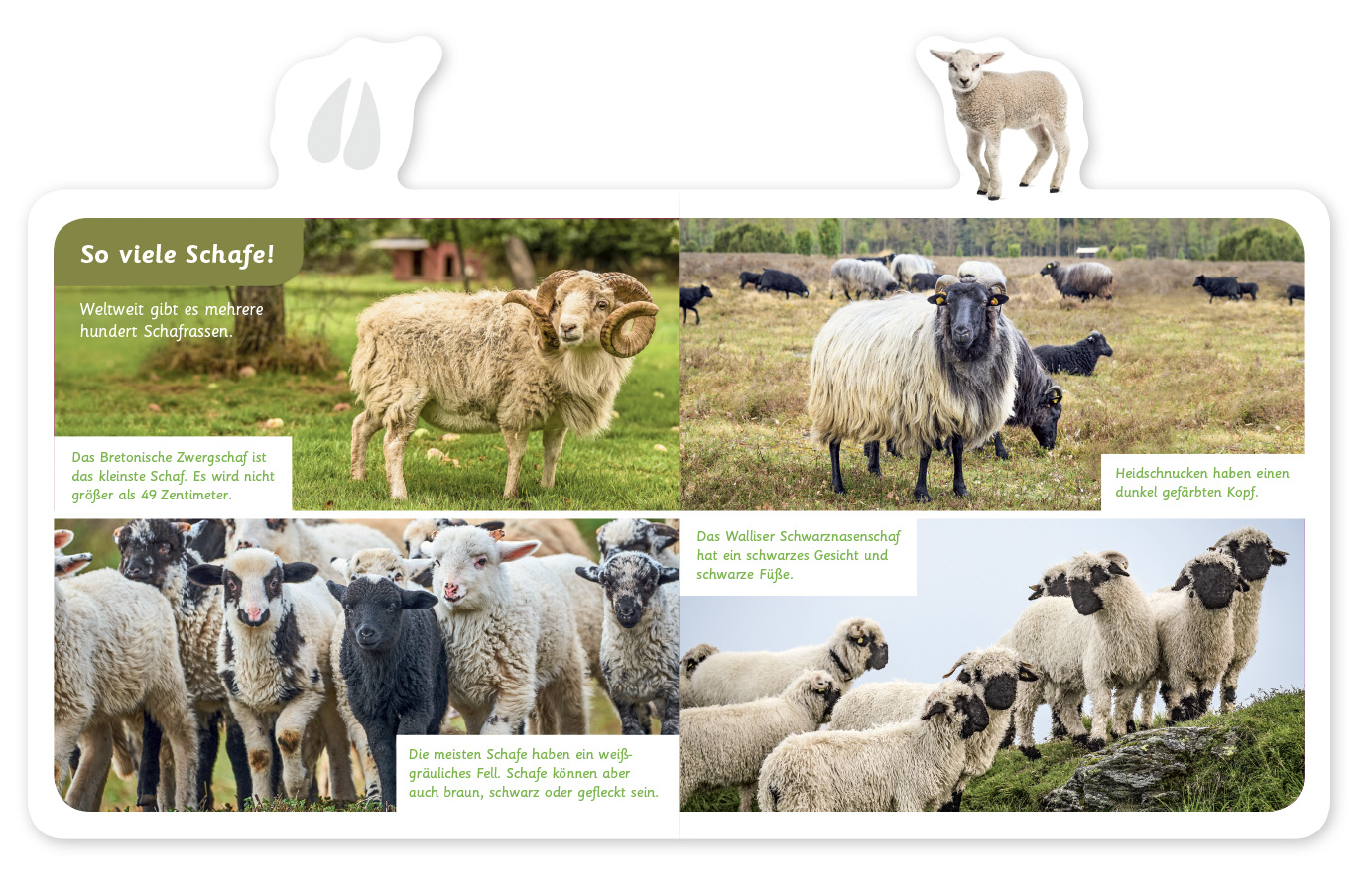 9783946360377_innenansicht_05 9783946360377_innenansicht_05.jpg