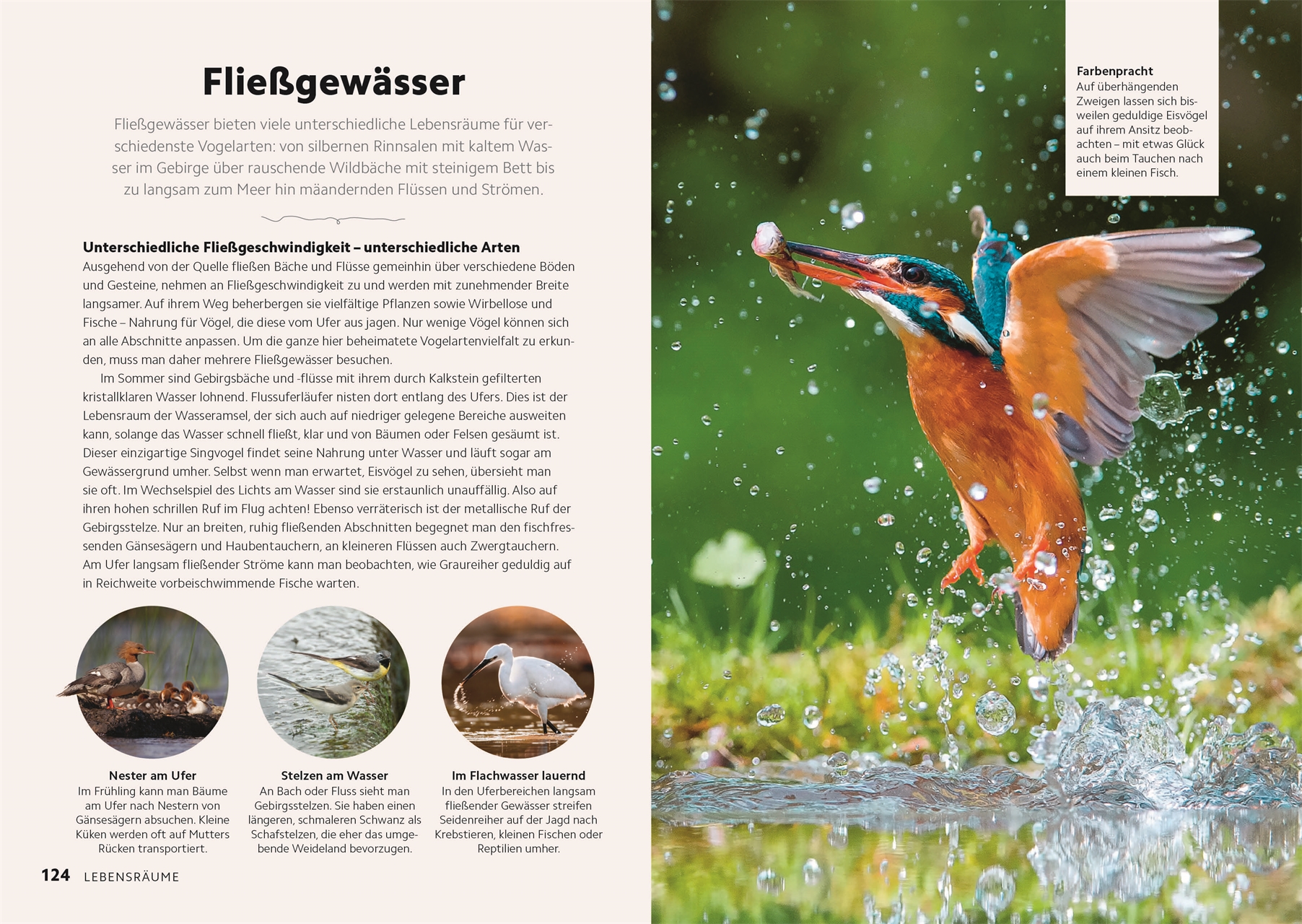 9783831049943_innenansicht_11 9783831049943_innenansicht_11.jpg