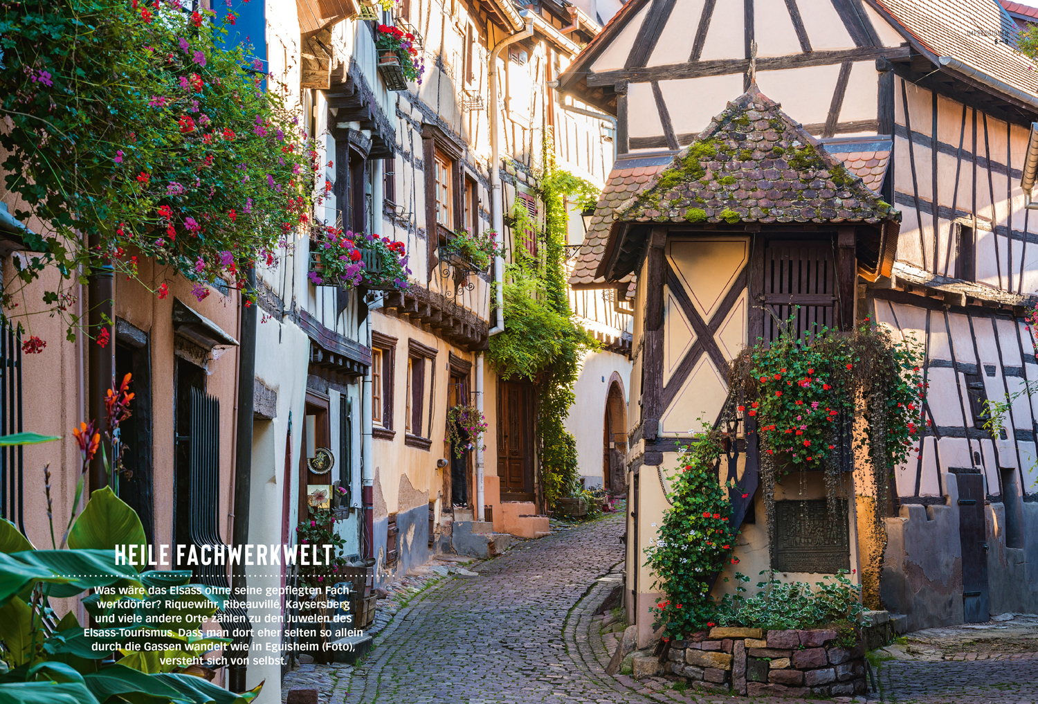 9783616012117_innenansicht_03 9783616012117_innenansicht_03.jpg