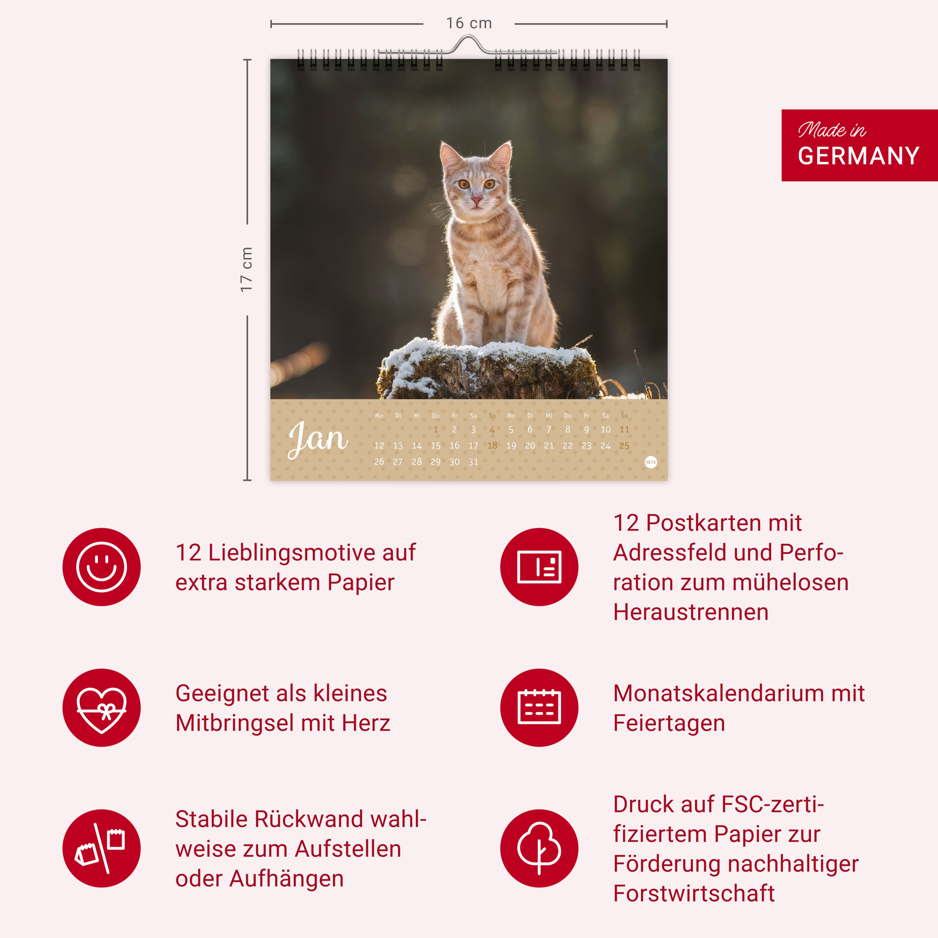 9783756410460_innenansicht_14.jpg