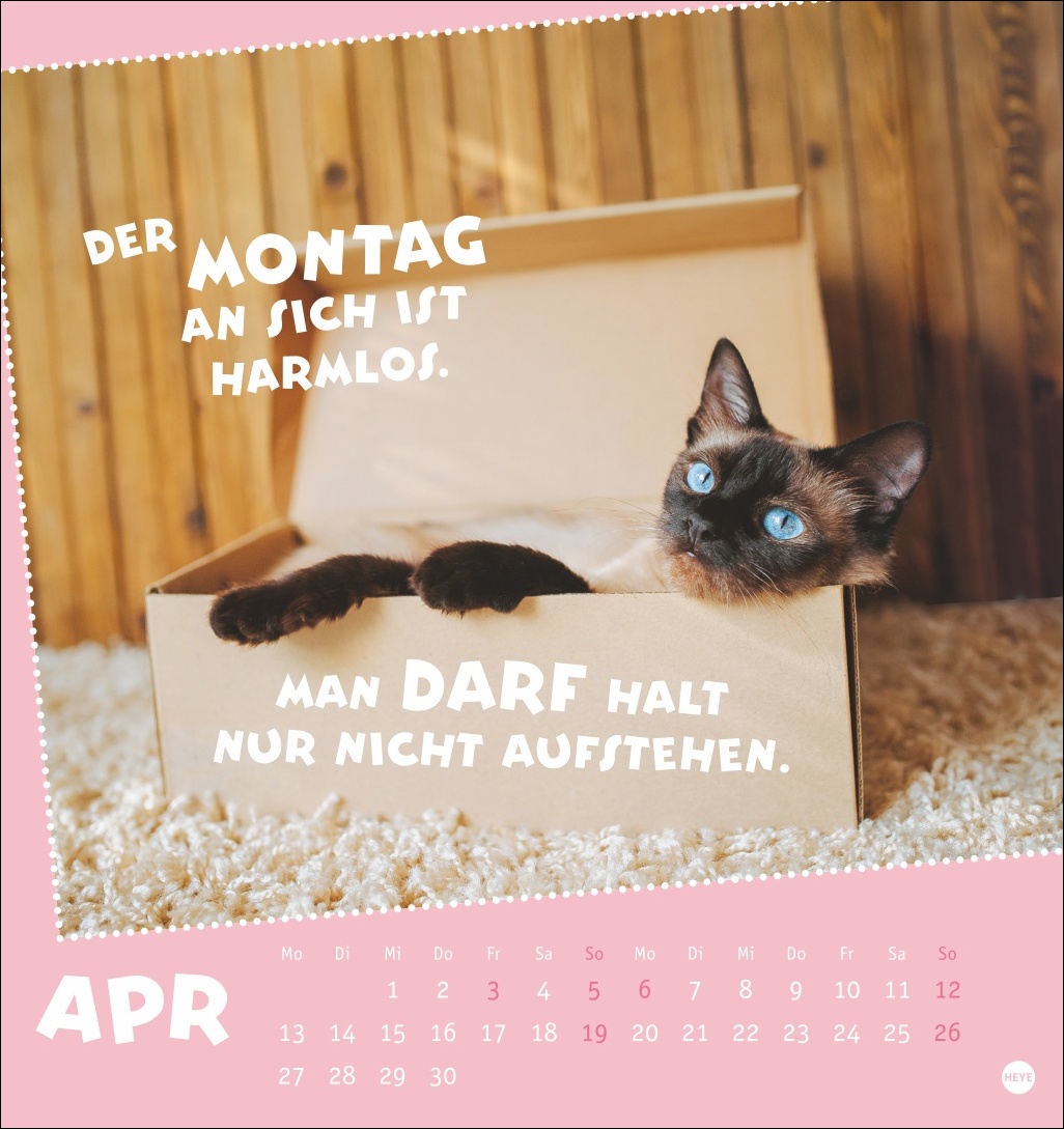 9783756411504_innenansicht_04.jpg