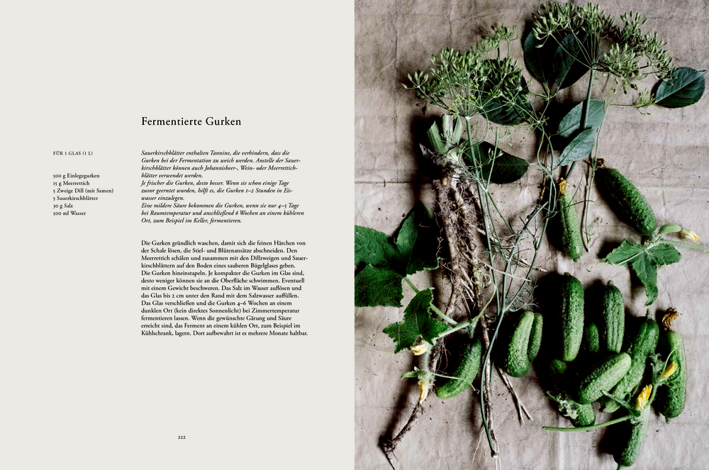 9783881171908_innenansicht_05 9783881171908_innenansicht_05.jpg