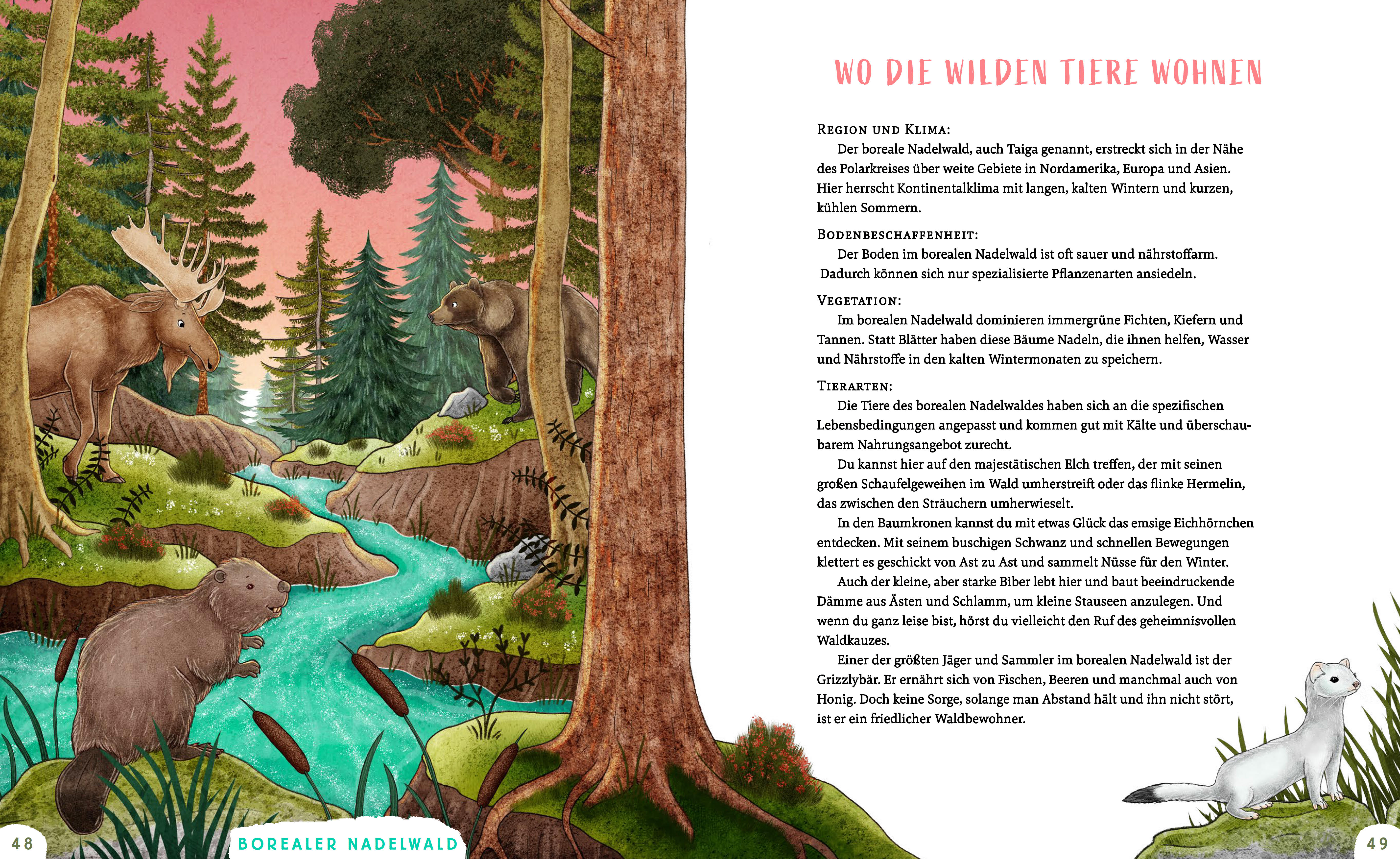 9783833909429_innenansicht_07 9783833909429_innenansicht_07.jpg