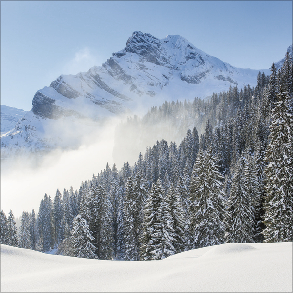 9783731883814_innenansicht_02 9783731883814_innenansicht_02.jpg