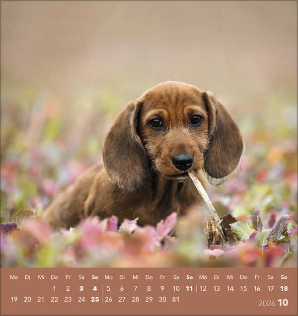 9783731884064_innenansicht_10 9783731884064_innenansicht_10.jpg