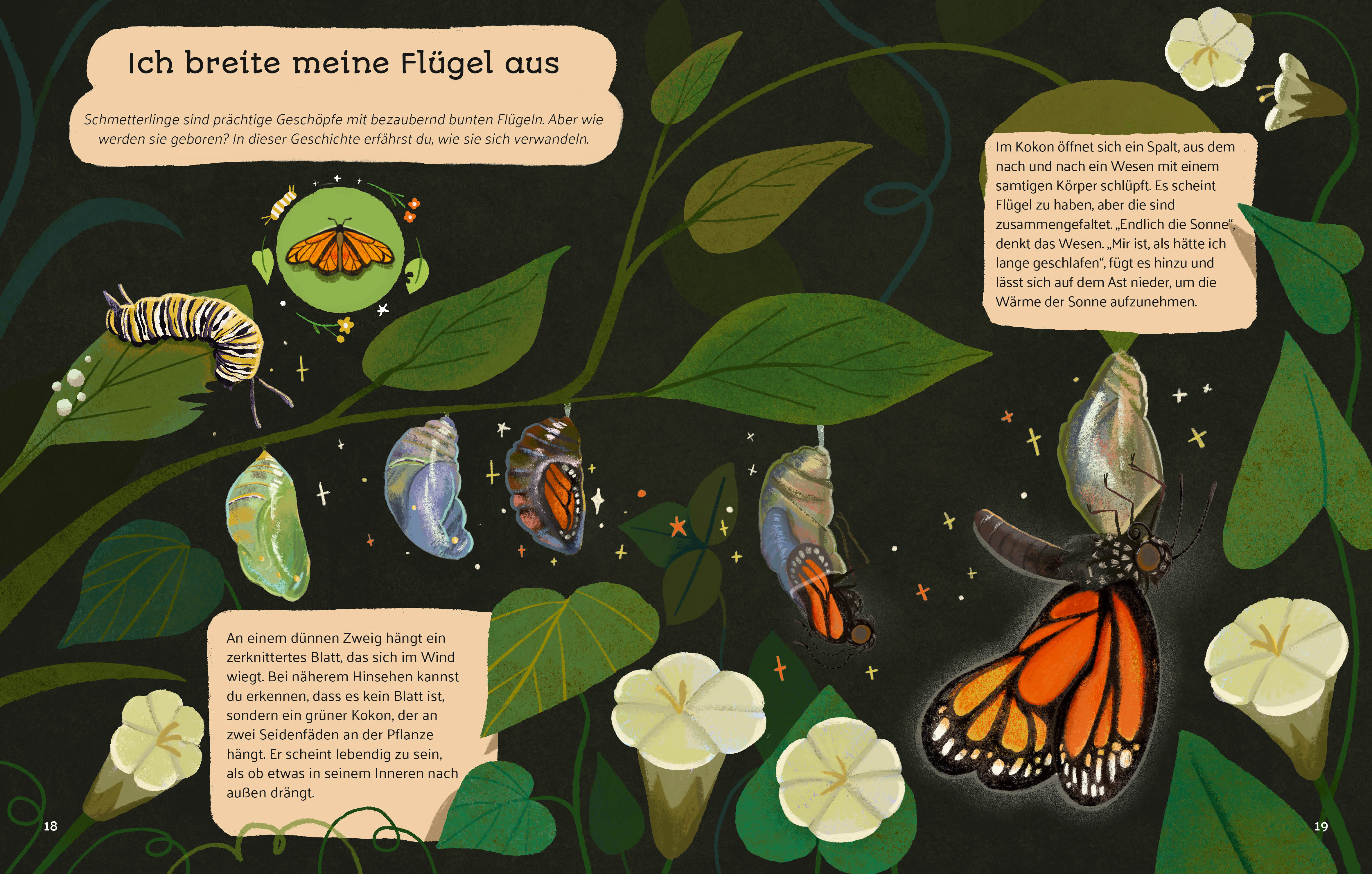 9788863127102_innenansicht_09 9788863127102_innenansicht_09.jpg