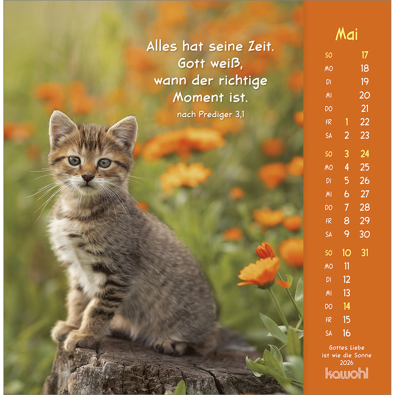 9783754848067_innenansicht_05.jpg