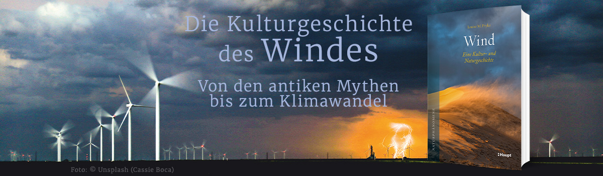 9783258083674_buehnenbild.jpg