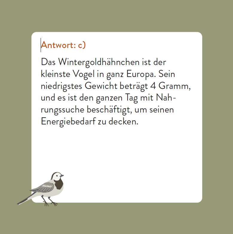 9783747206768_innenansicht_04.jpg