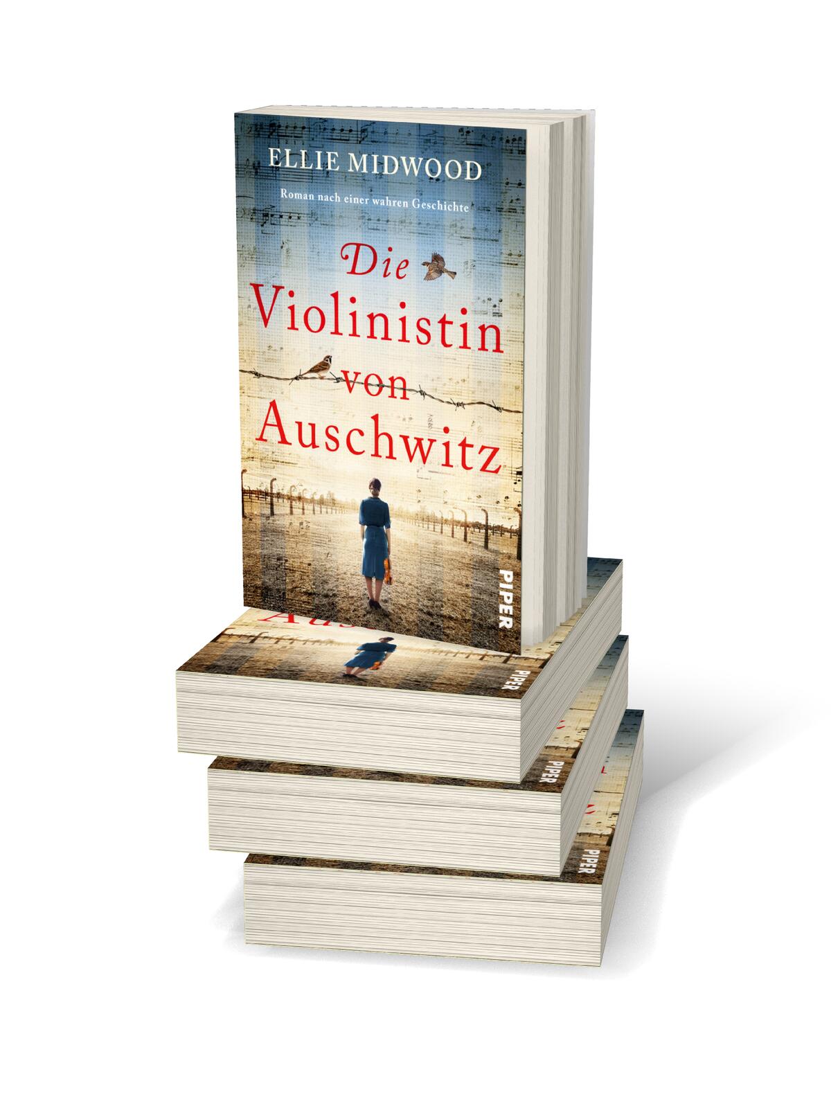 9783492064446_weiterecover_02 9783492064446_weiterecover_02.jpg