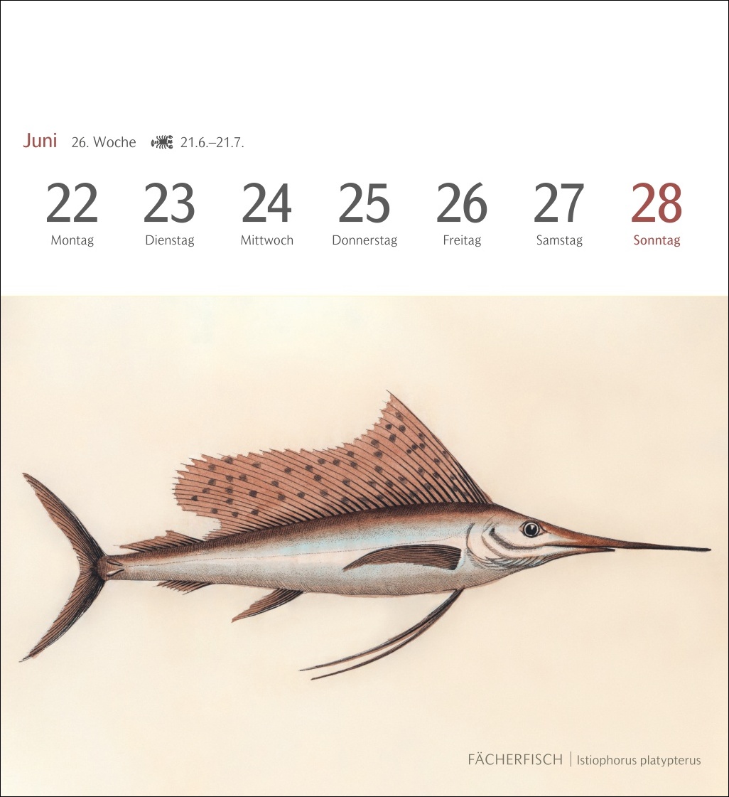 9783840037917_innenansicht_07 9783840037917_innenansicht_07.jpg