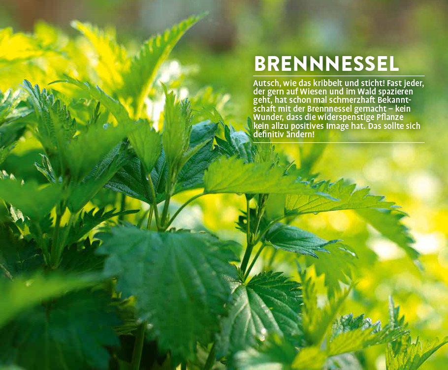 9783818617622_innenansicht_02 9783818617622_innenansicht_02.jpg