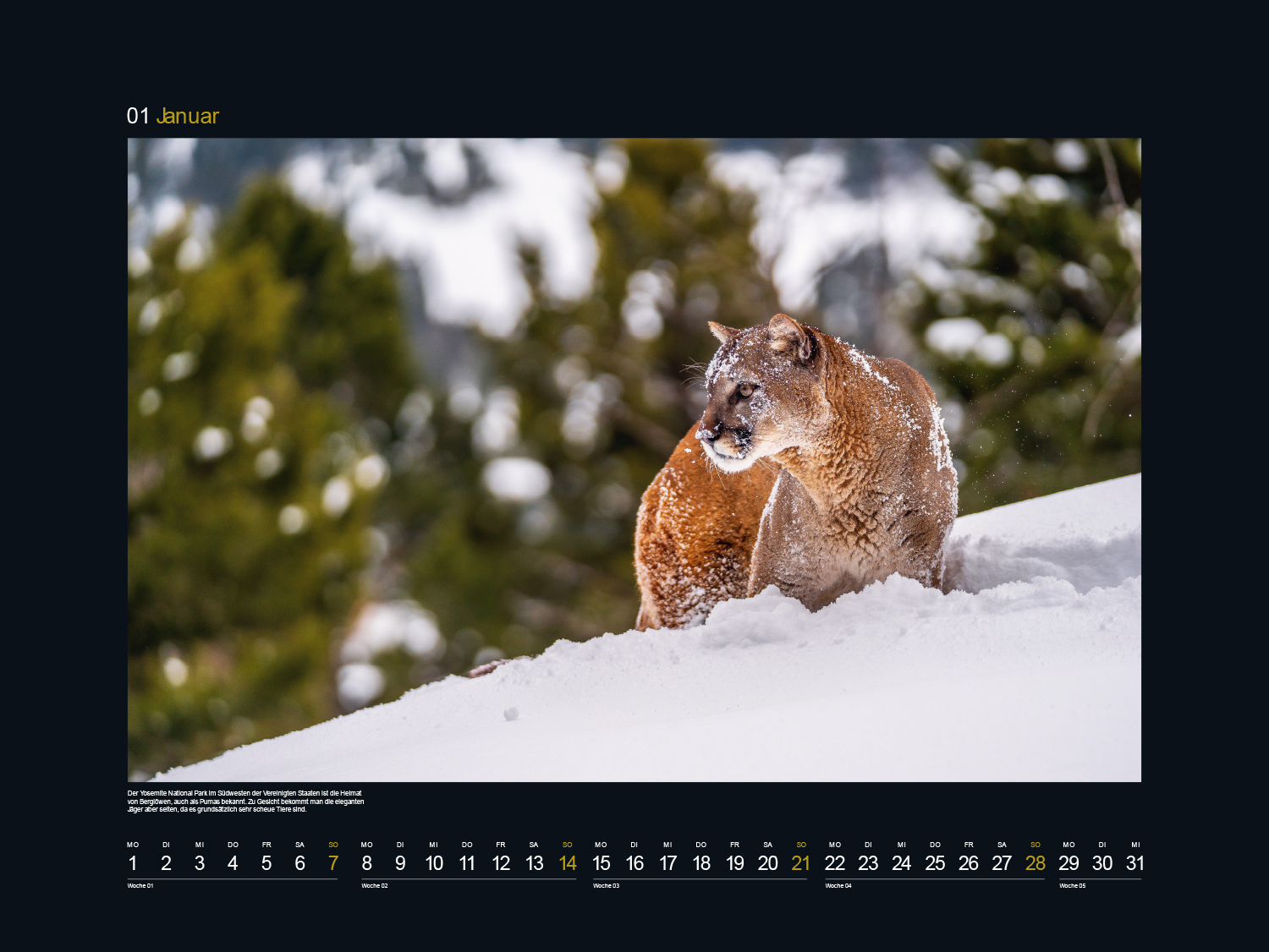 9783965912540_innenansicht_02 9783965912540_innenansicht_02.jpg