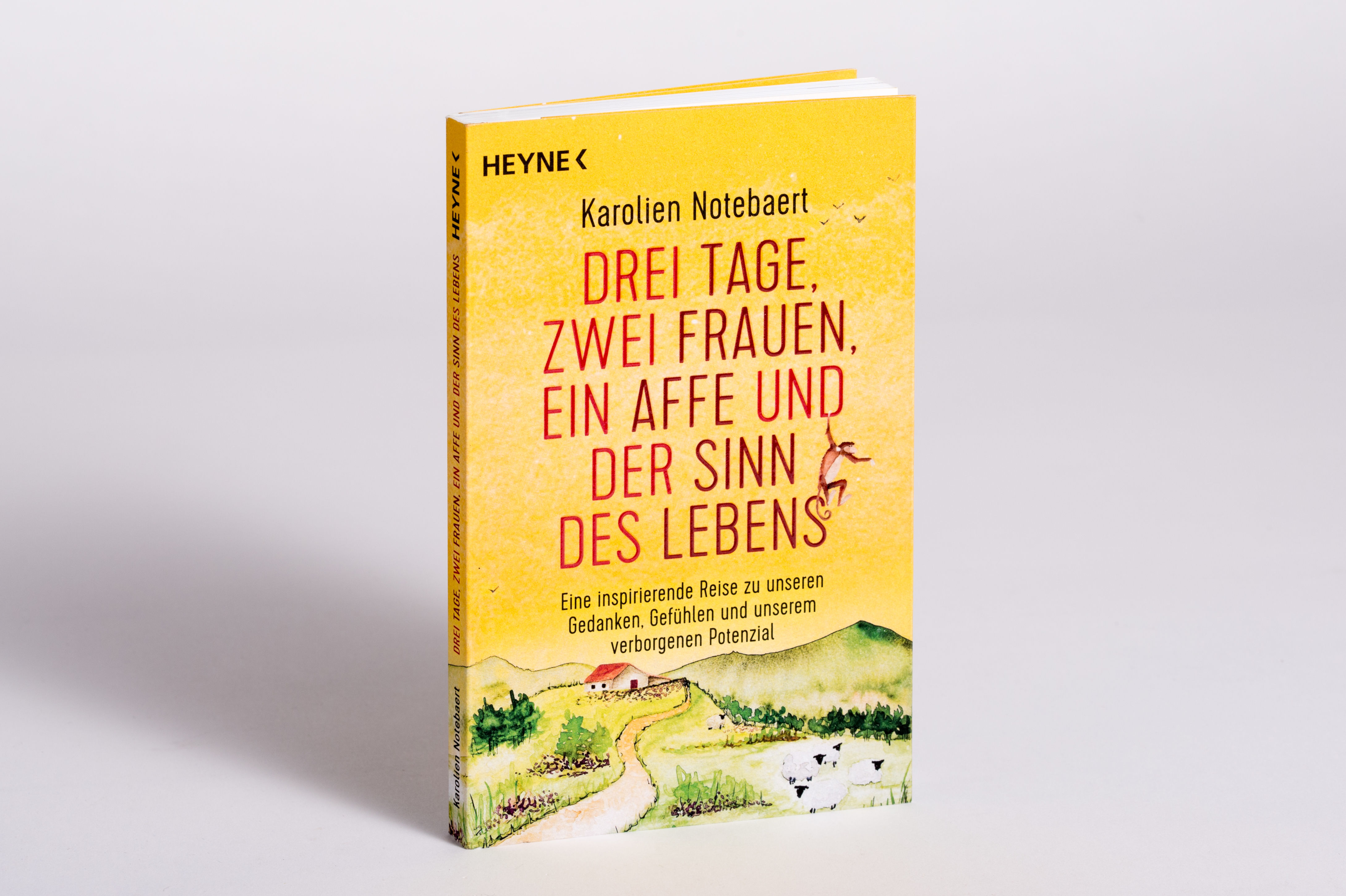 9783453606227_innenansicht_01.jpg