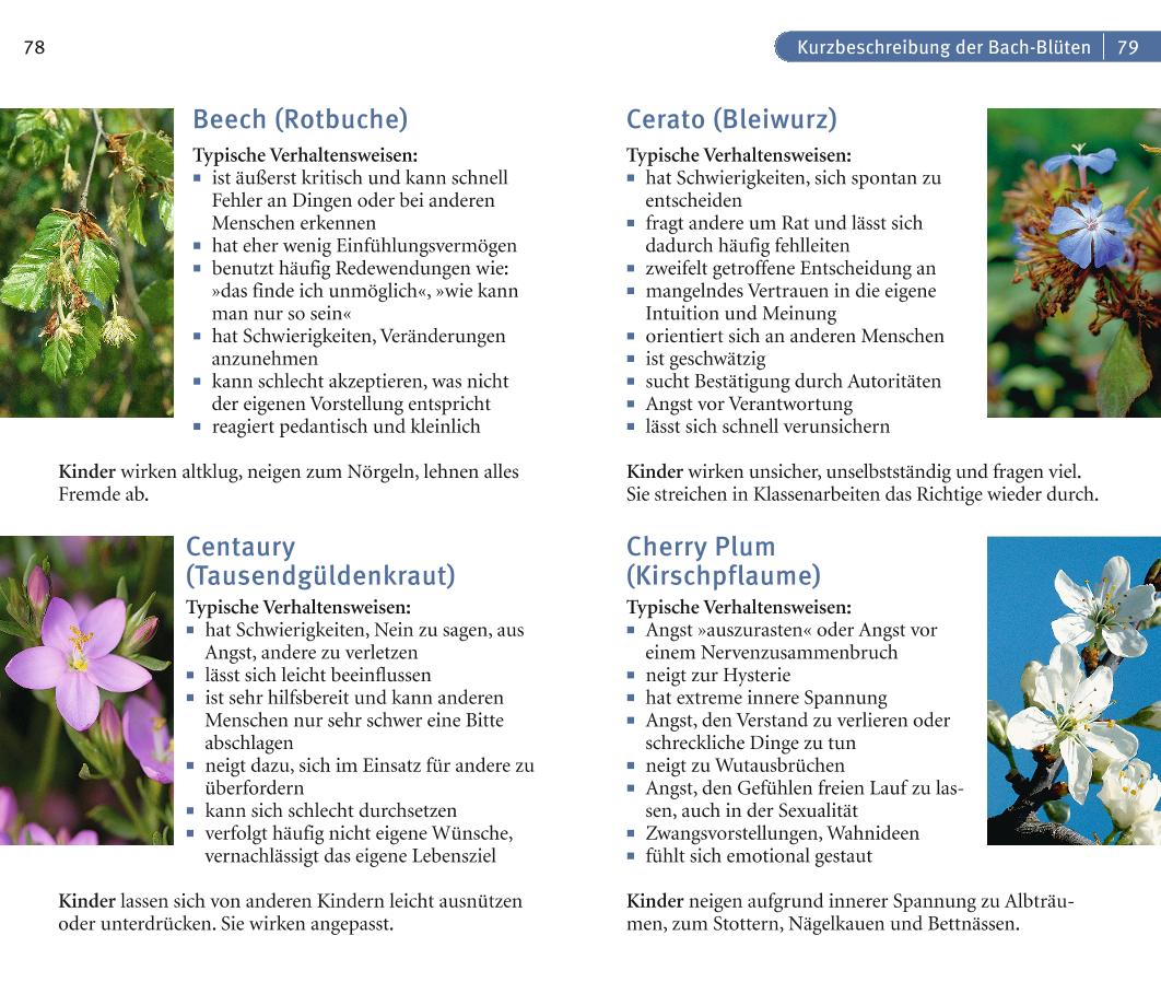 9783833852923_innenansicht_04 9783833852923_innenansicht_04.jpg