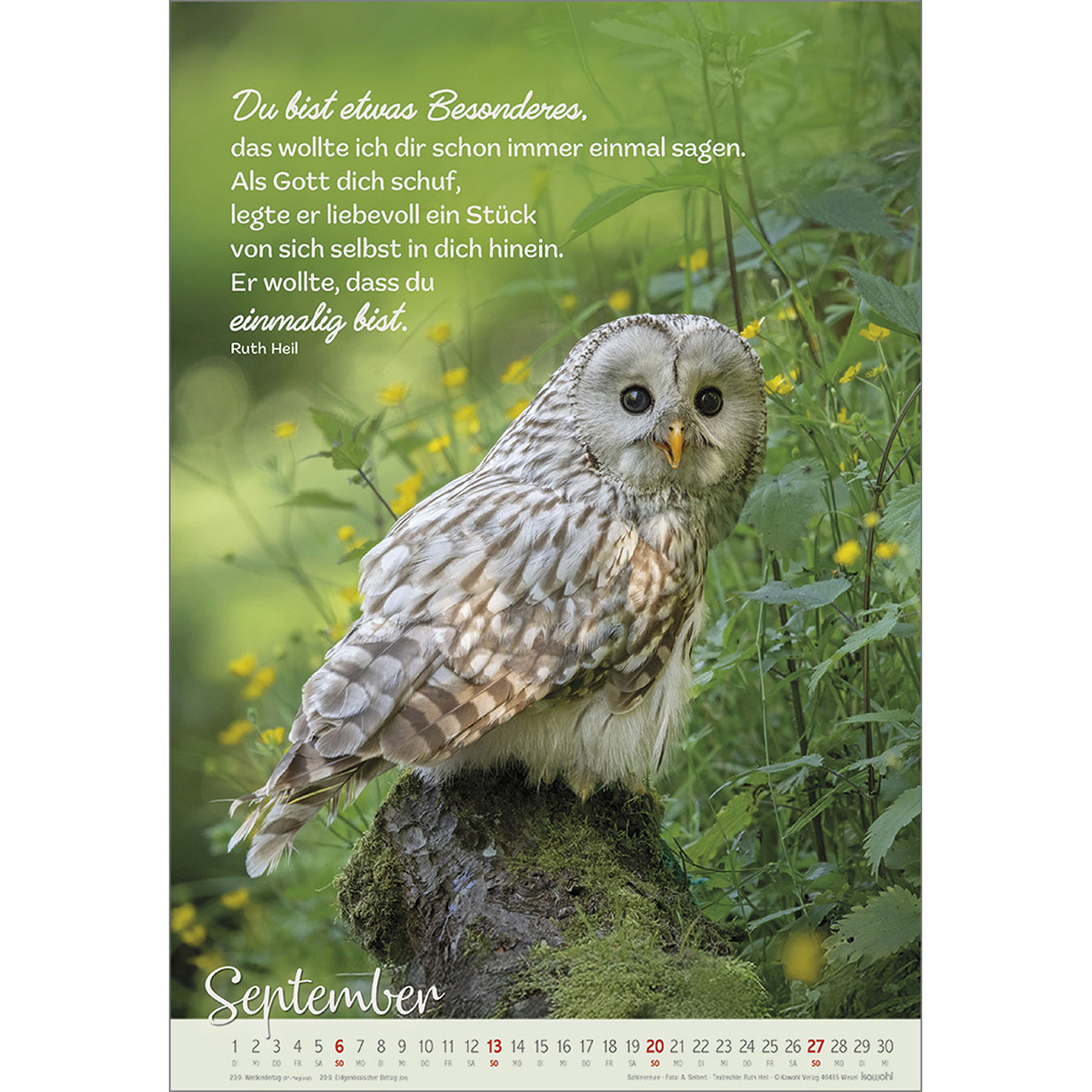 9783754804261_innenansicht_09 9783754804261_innenansicht_09.jpg