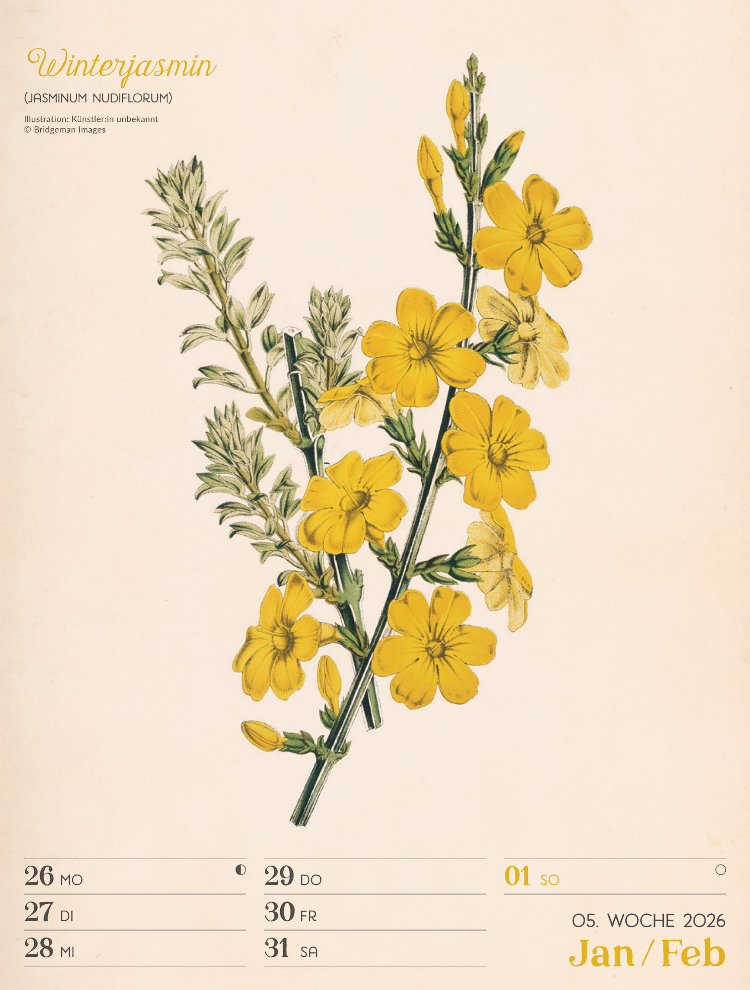 9783838436128_innenansicht_08 9783838436128_innenansicht_08.jpg