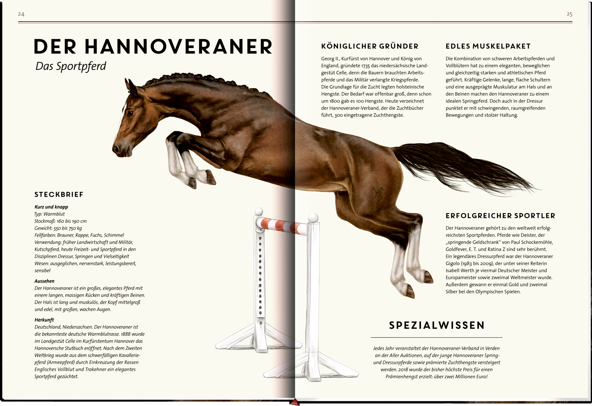 9783649646495_innenansicht_13 9783649646495_innenansicht_13.jpg