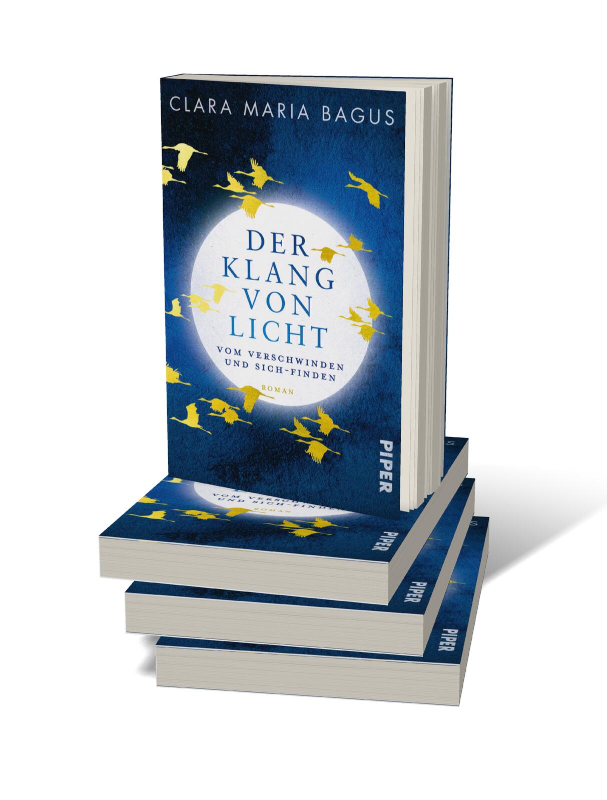 9783492320887_innenansicht_01.jpg