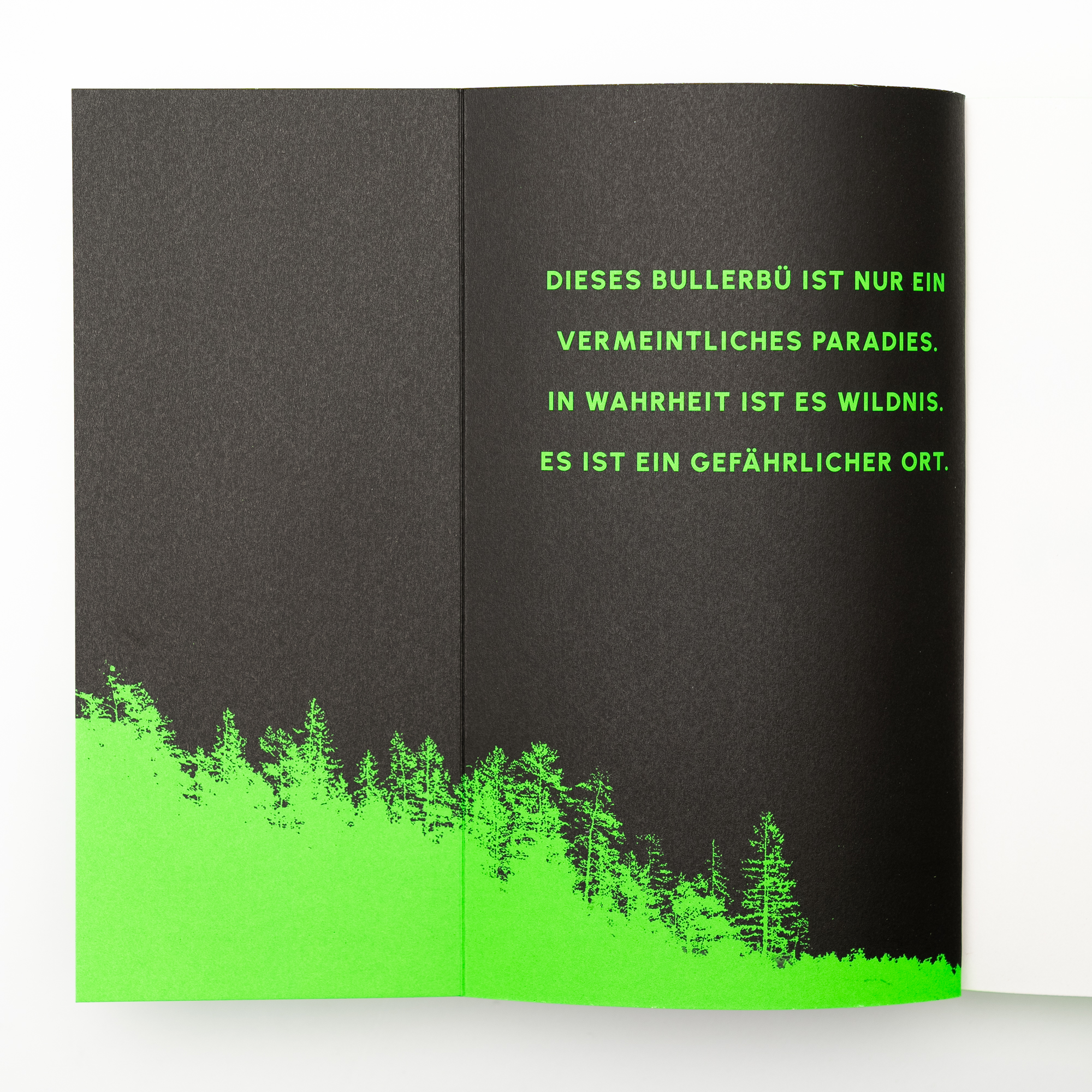 9783499009716_innenansicht_03.jpg