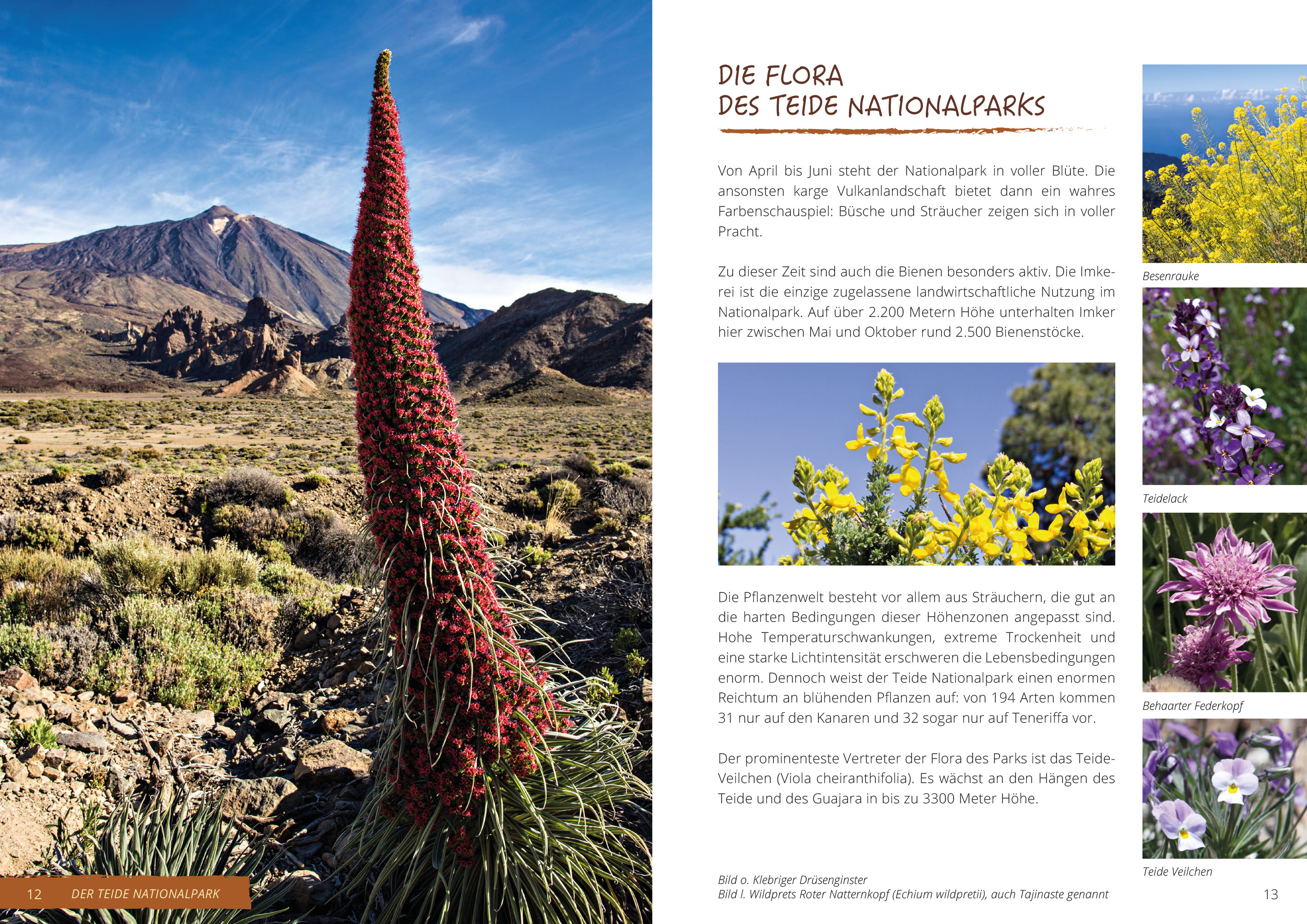 9783946636489_NF_2 9783946636489_NF_2.jpg