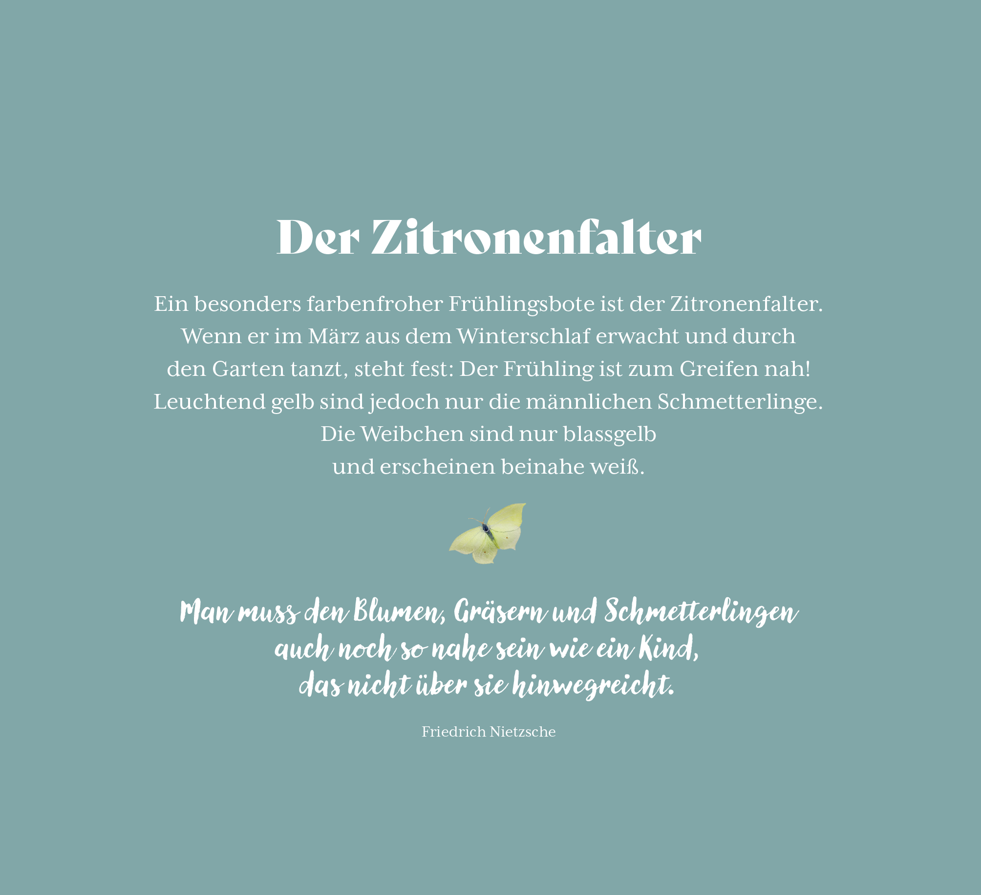 9783848502240_innenansicht_06 9783848502240_innenansicht_06.jpg