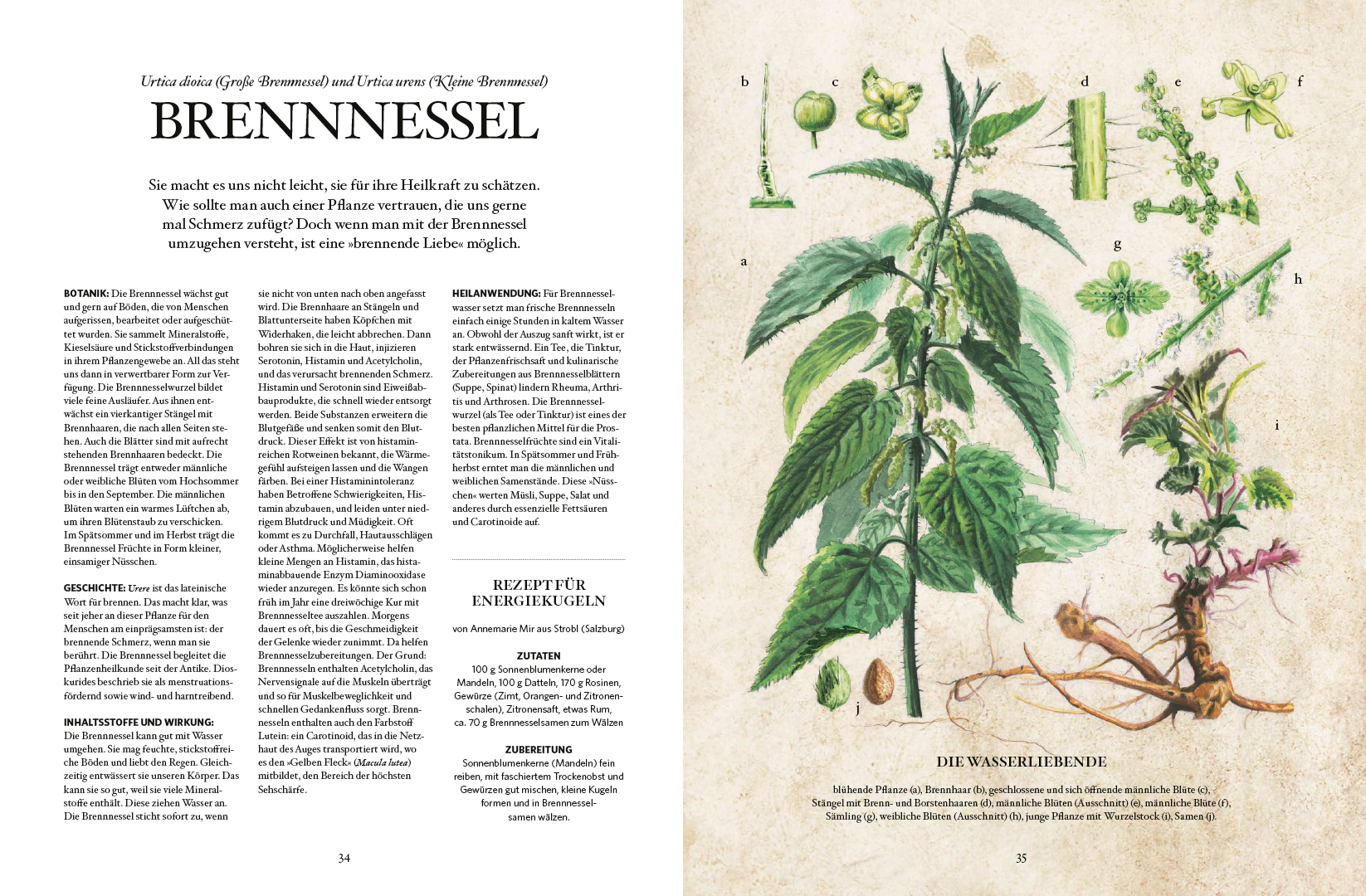 9783710401718_innenansicht_03 9783710401718_innenansicht_03.jpg