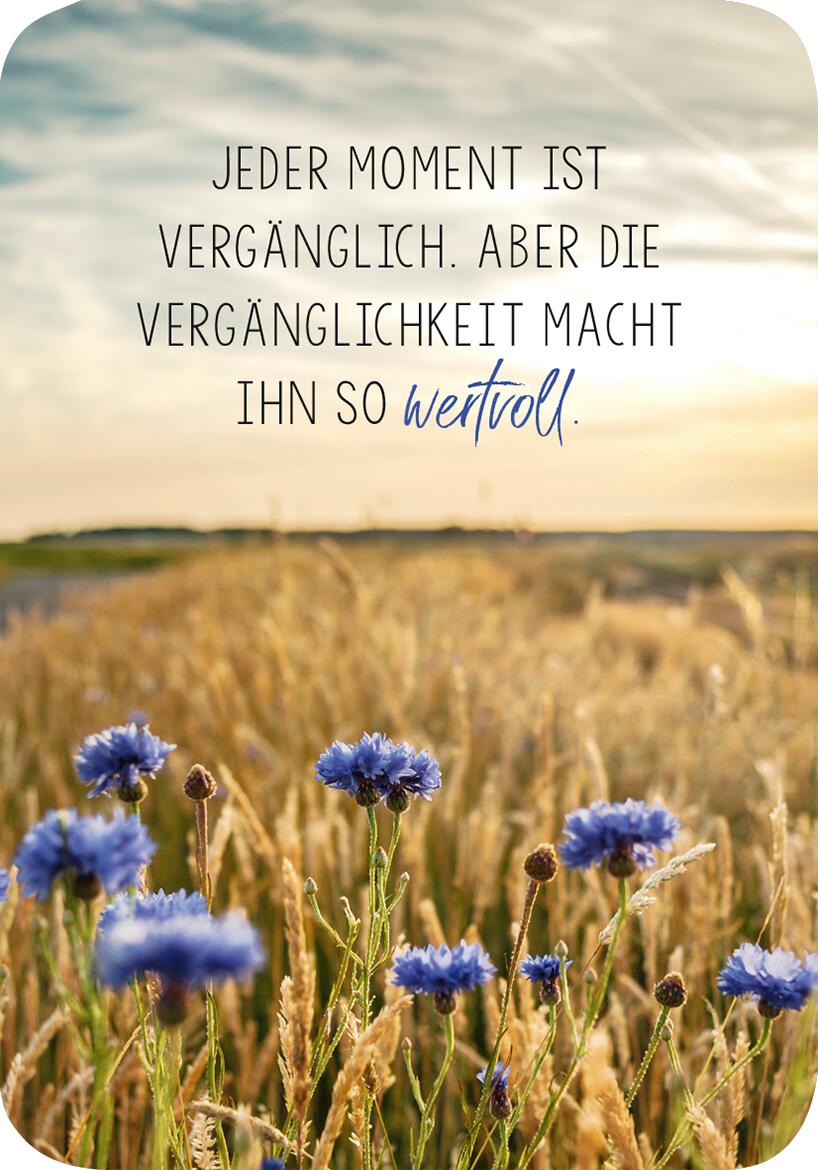 9783845849546_innenansicht_02.jpg