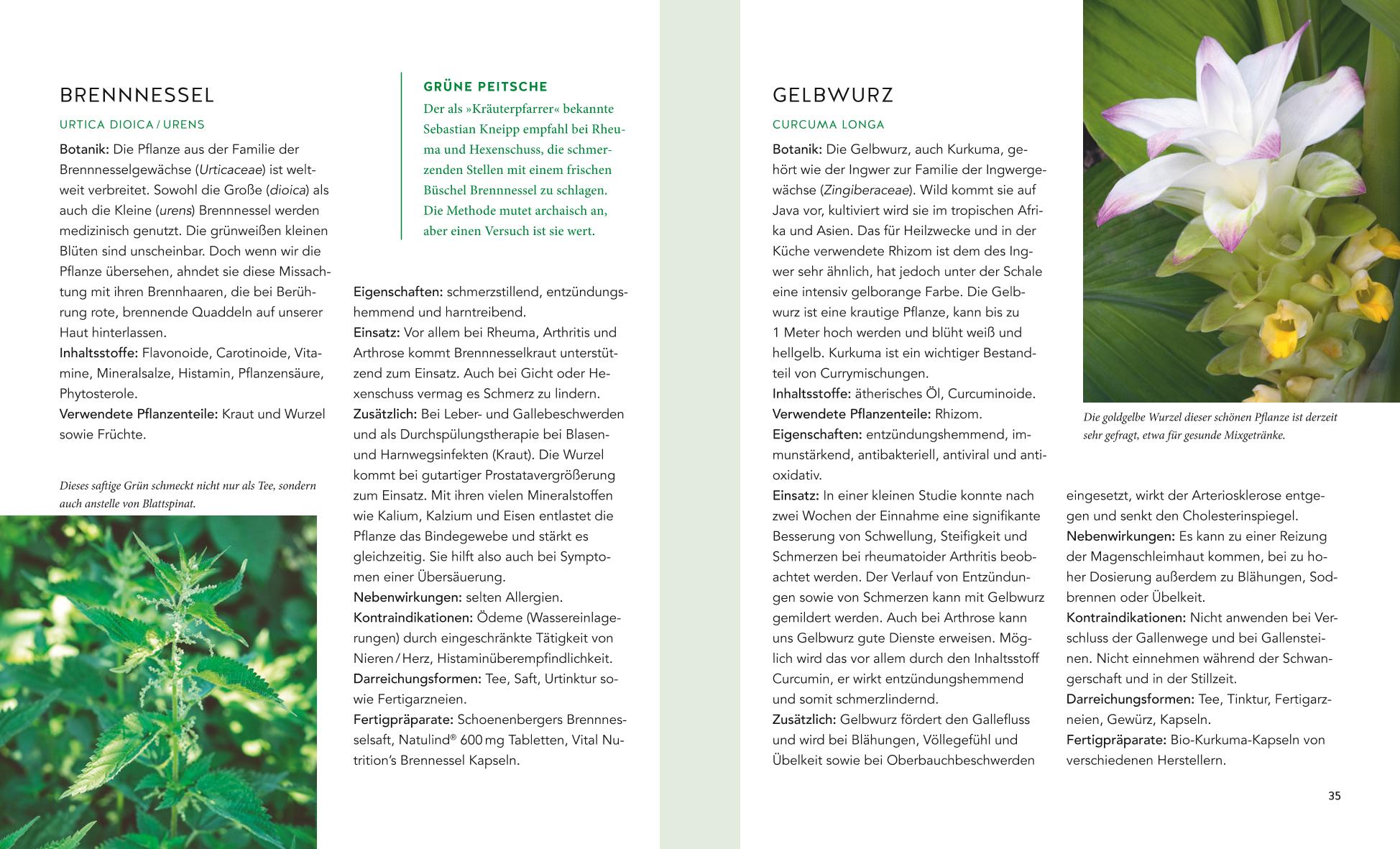 9783833873126_innenansicht_04 9783833873126_innenansicht_04.jpg