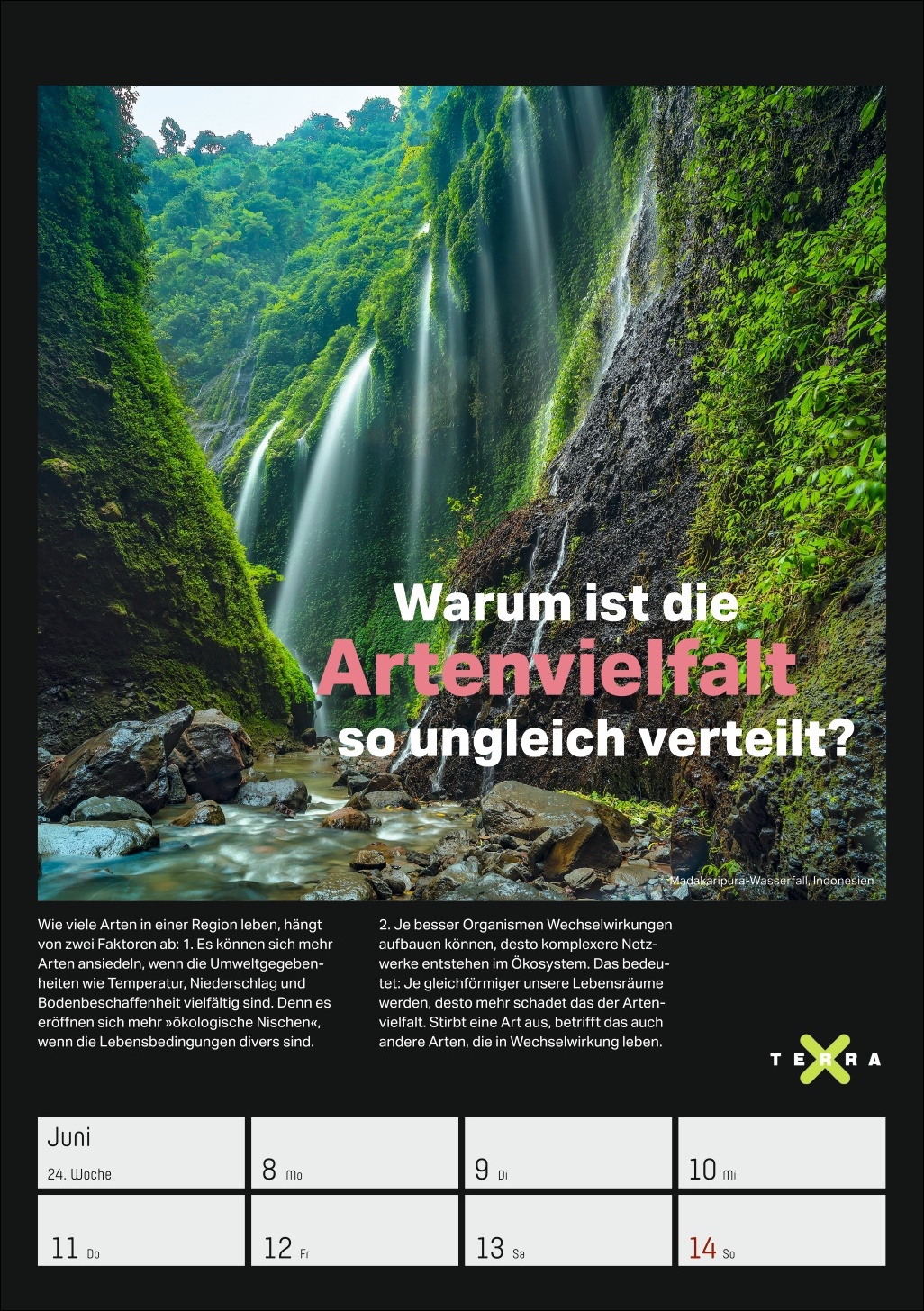 9783840037993_innenansicht_02.jpg