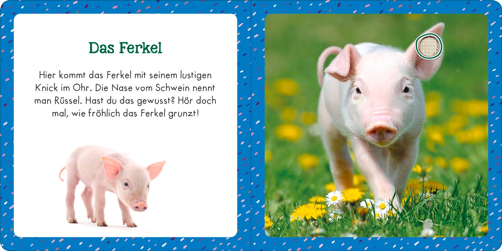 9783845855349_innenansicht_02.jpg