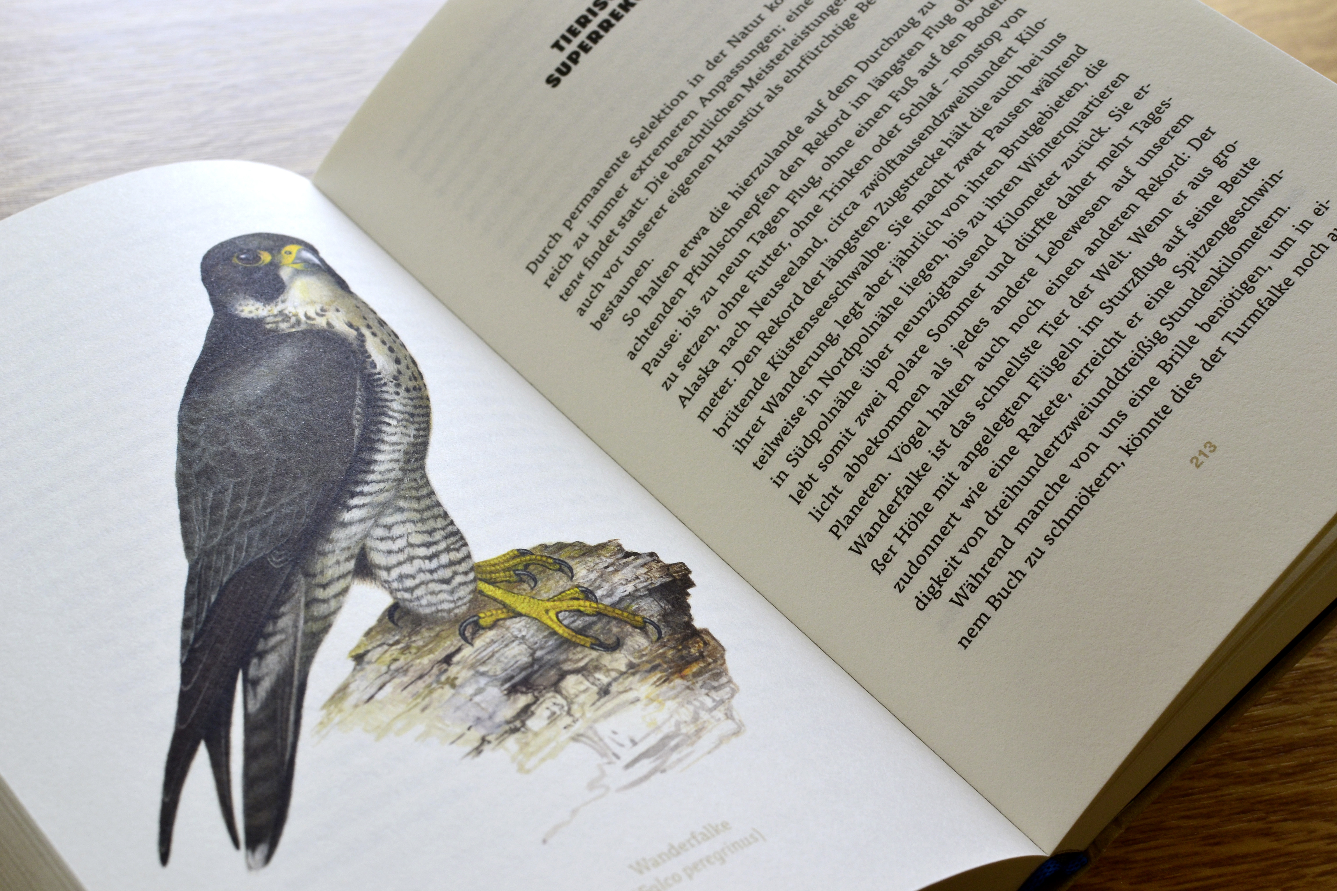 9783847900658_innenansicht_07.jpg 9783847900658_innenansicht_07.jpg