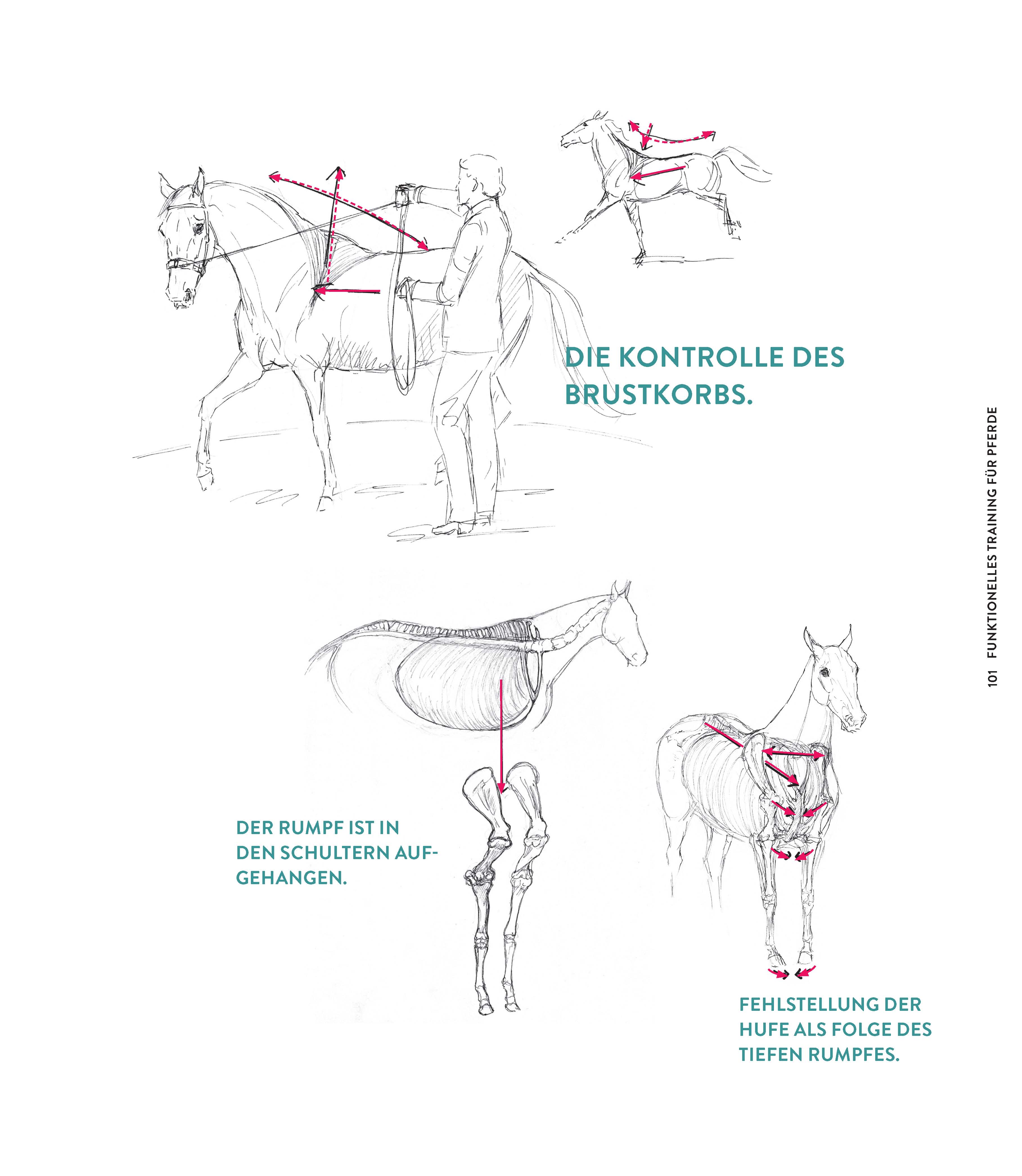 9783275023066_innenansicht_10 9783275023066_innenansicht_10.jpg