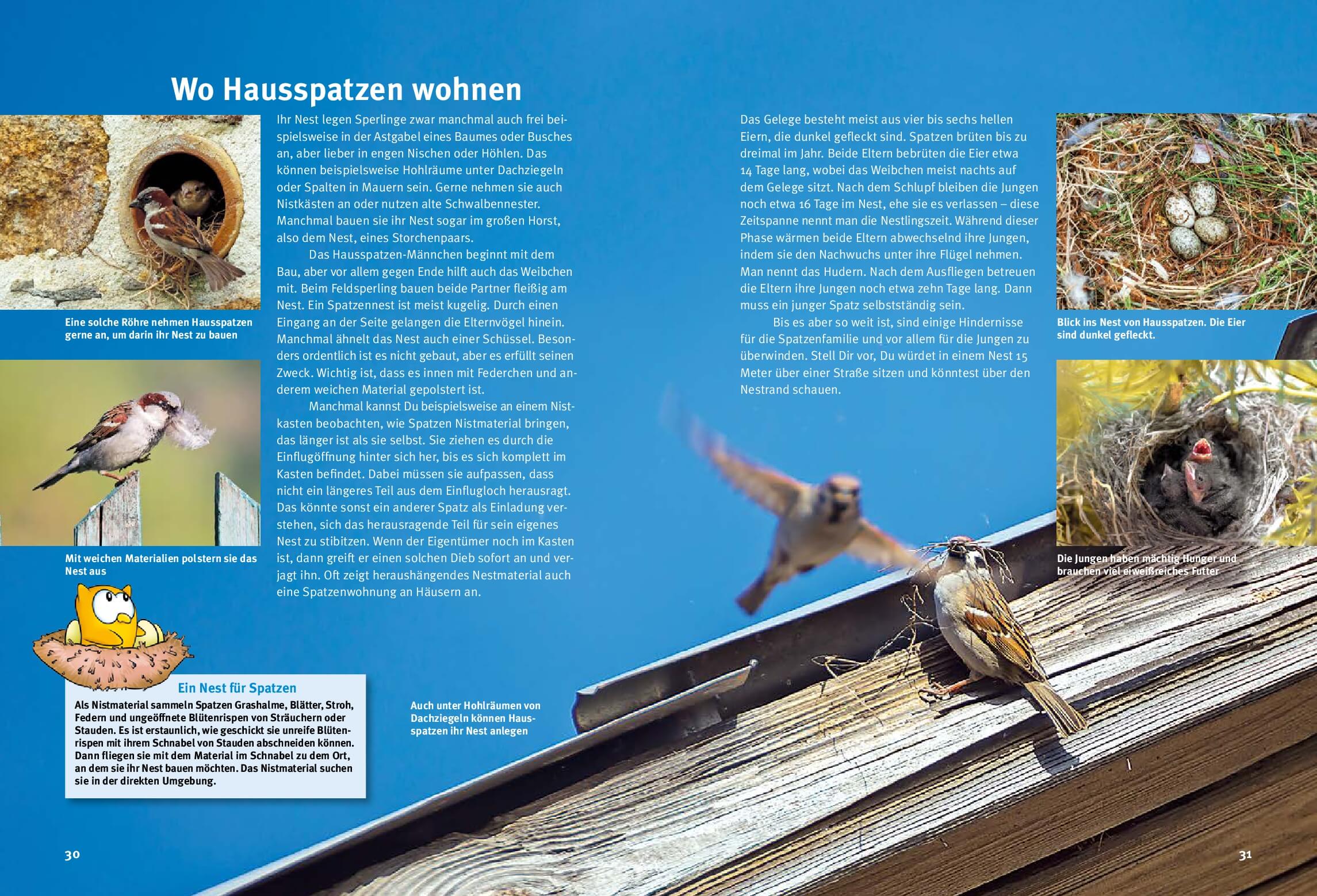 9783866594944_innenansicht_02.jpg