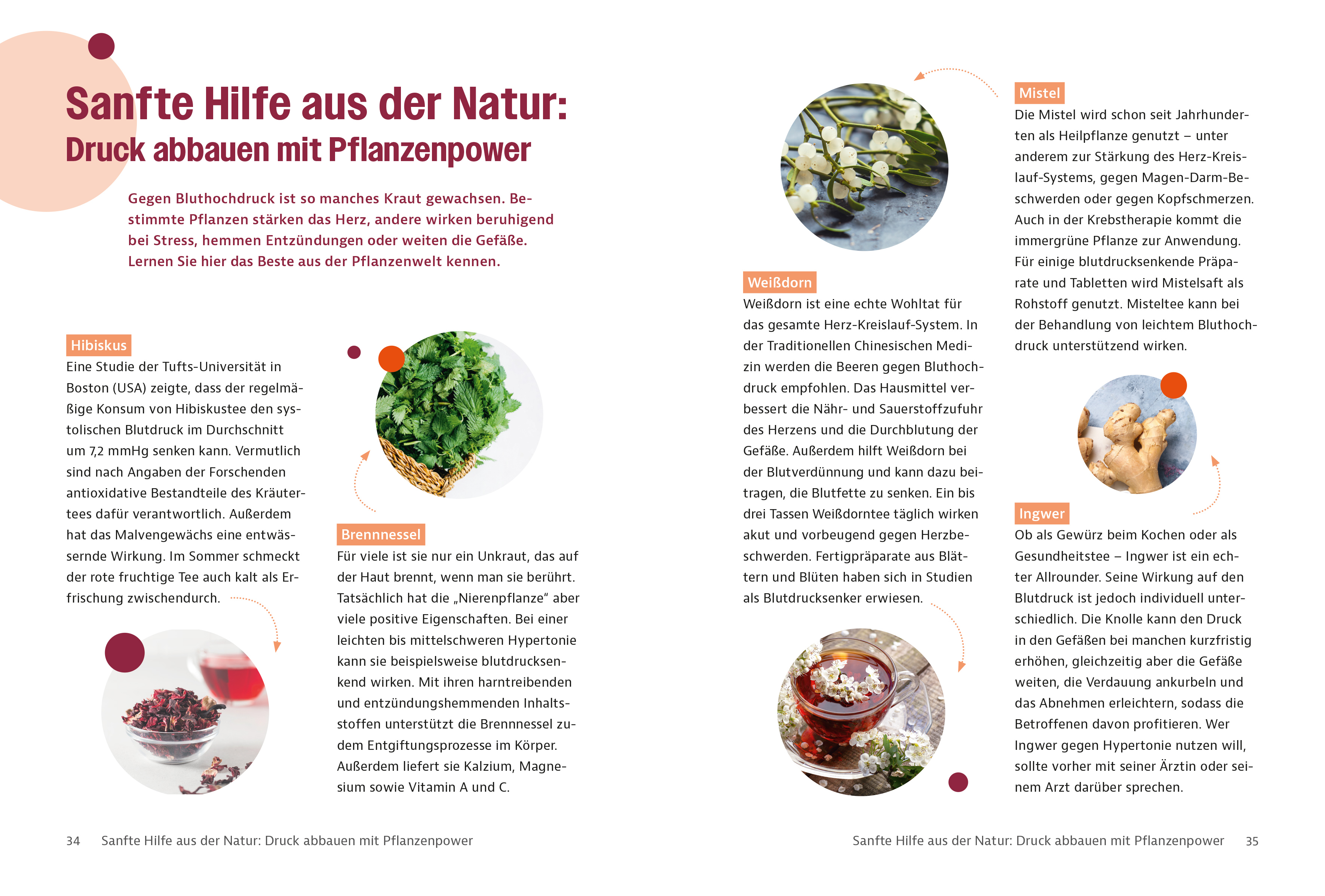 9783965845091_innenansicht_05.jpg