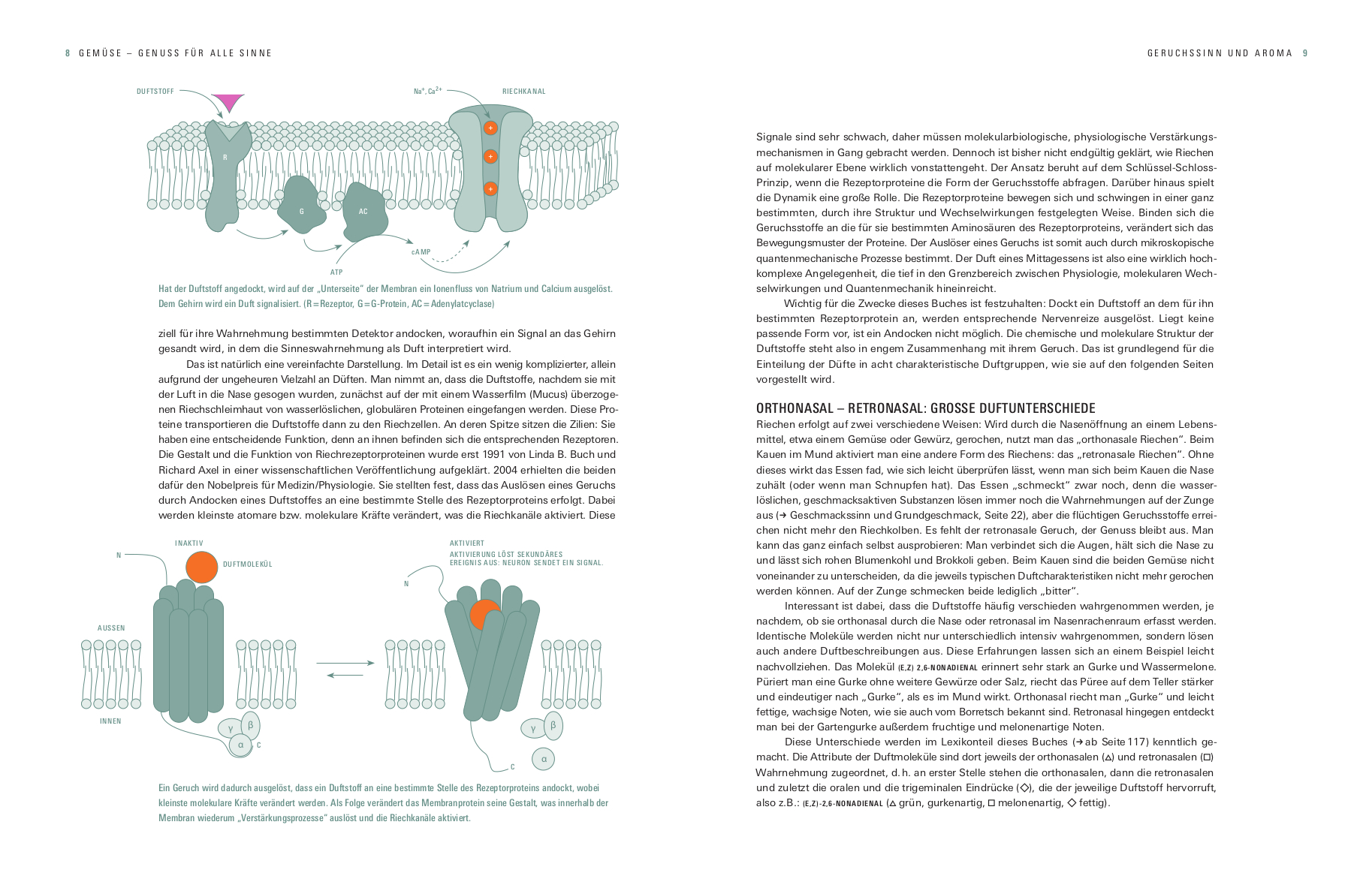 9783747104729_innenansicht_03 9783747104729_innenansicht_03.jpg