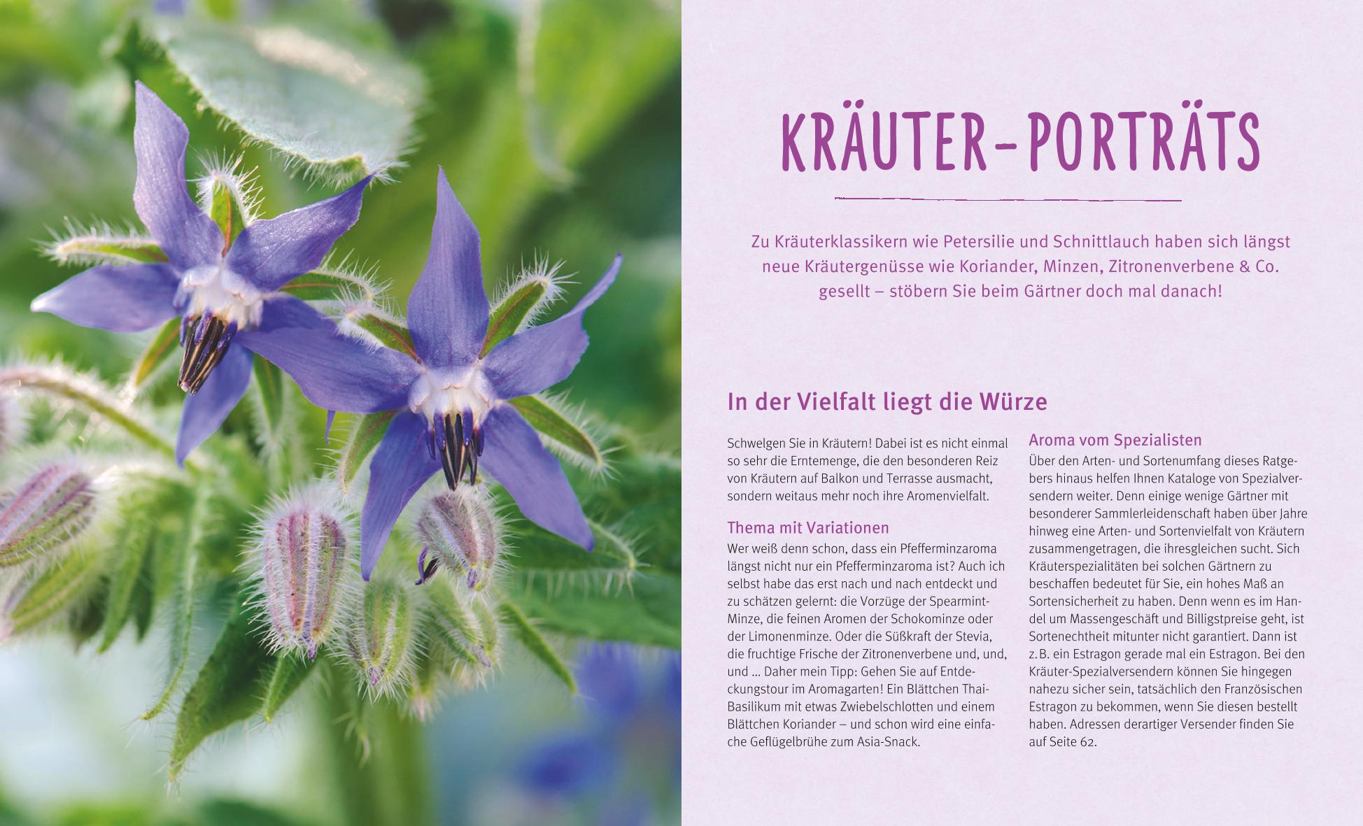 9783833838613_innenansicht_03 9783833838613_innenansicht_03.jpg