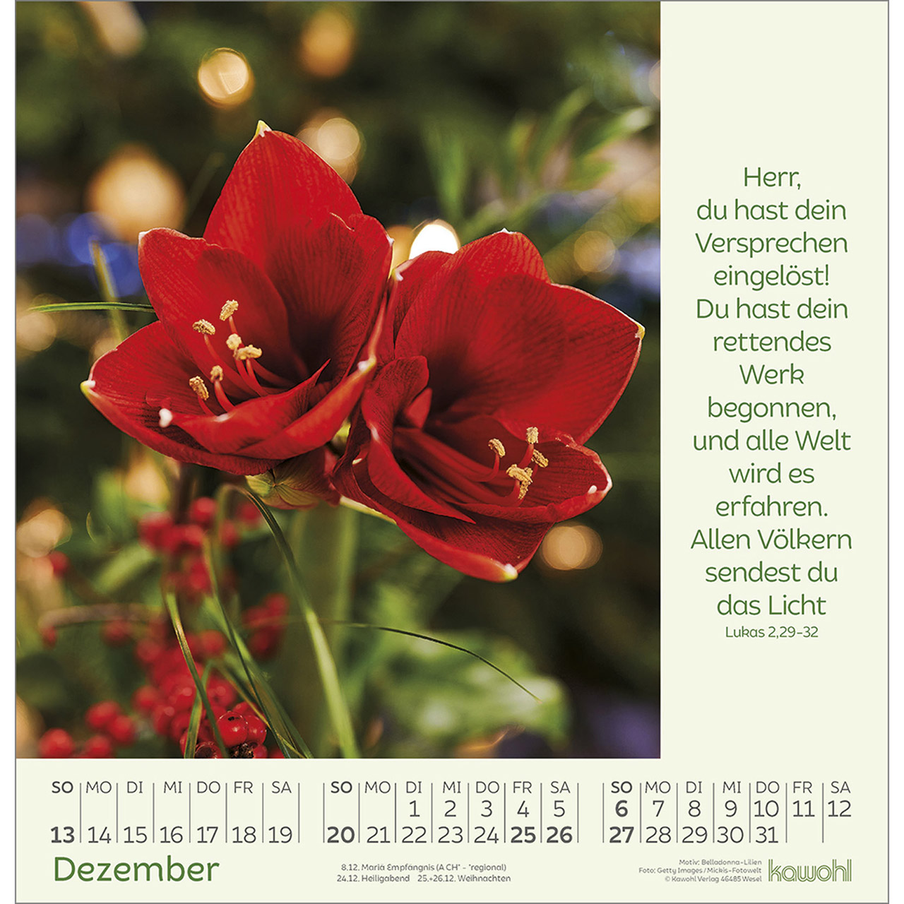 9783754826065_innenansicht_12.jpg