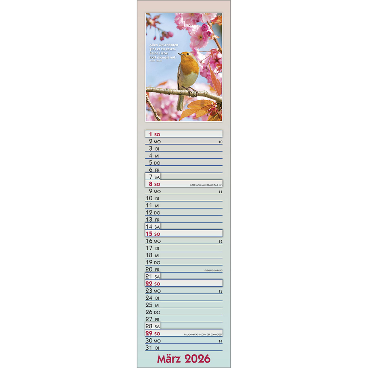 9783754866566_innenansicht_03.jpg