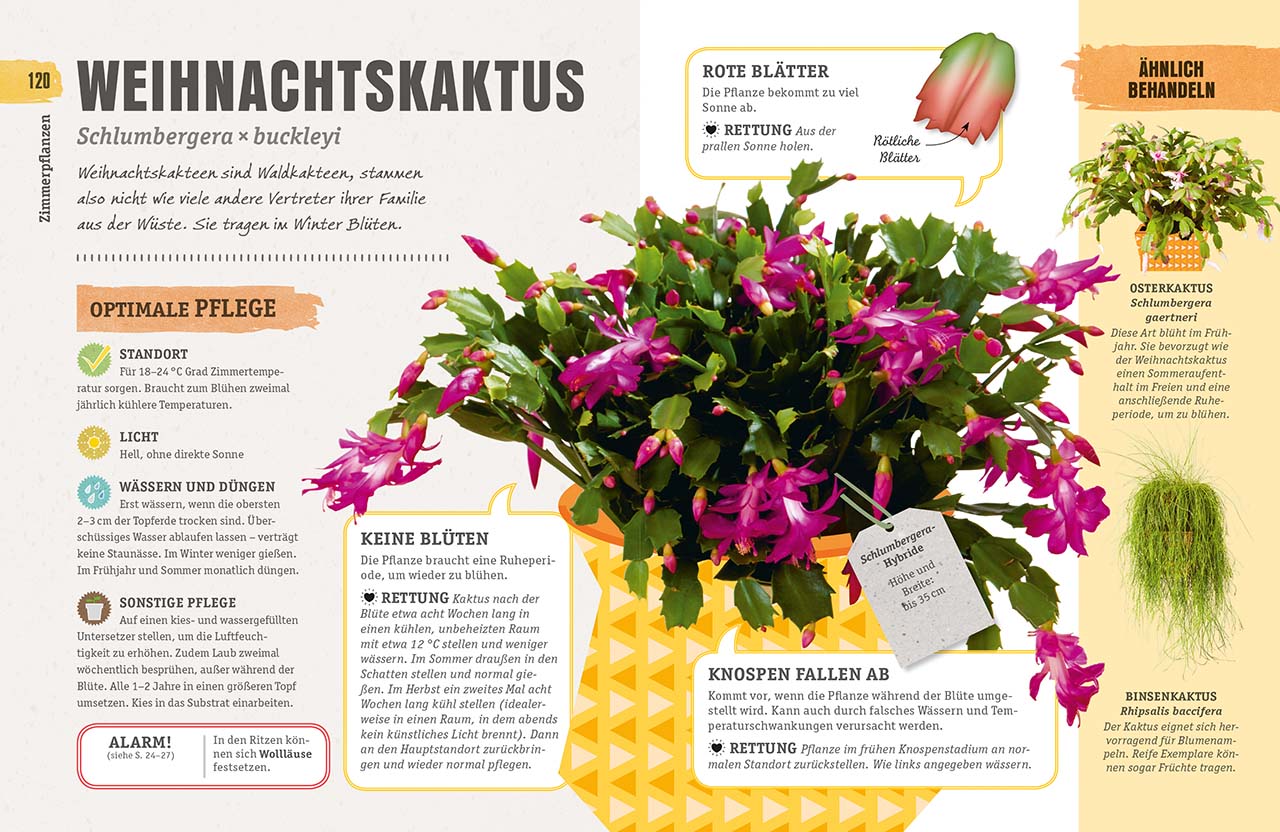 9783831035007_innenansicht_04.jpg