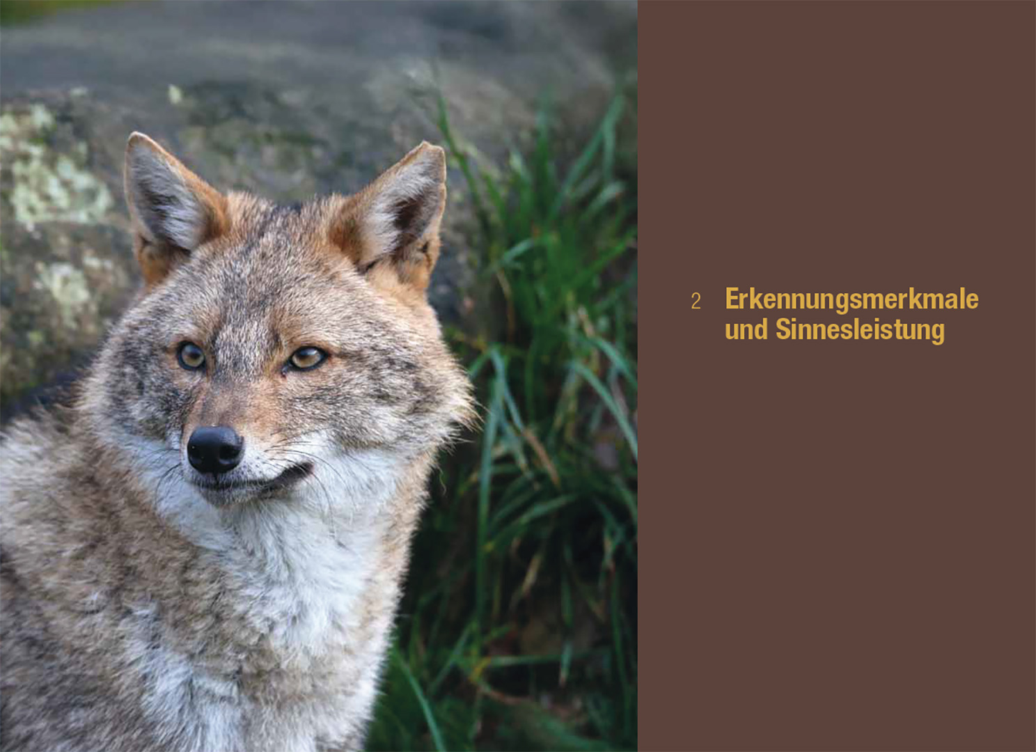 9783258084152_innenansicht_01.jpg