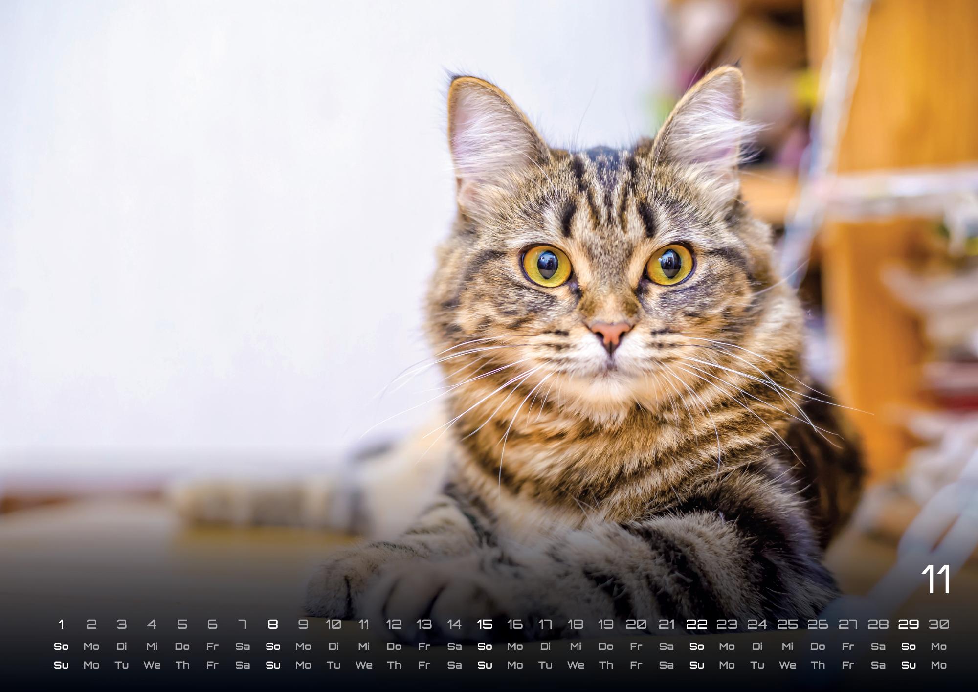 9783986735463_innenansicht_11 9783986735463_innenansicht_11.jpg