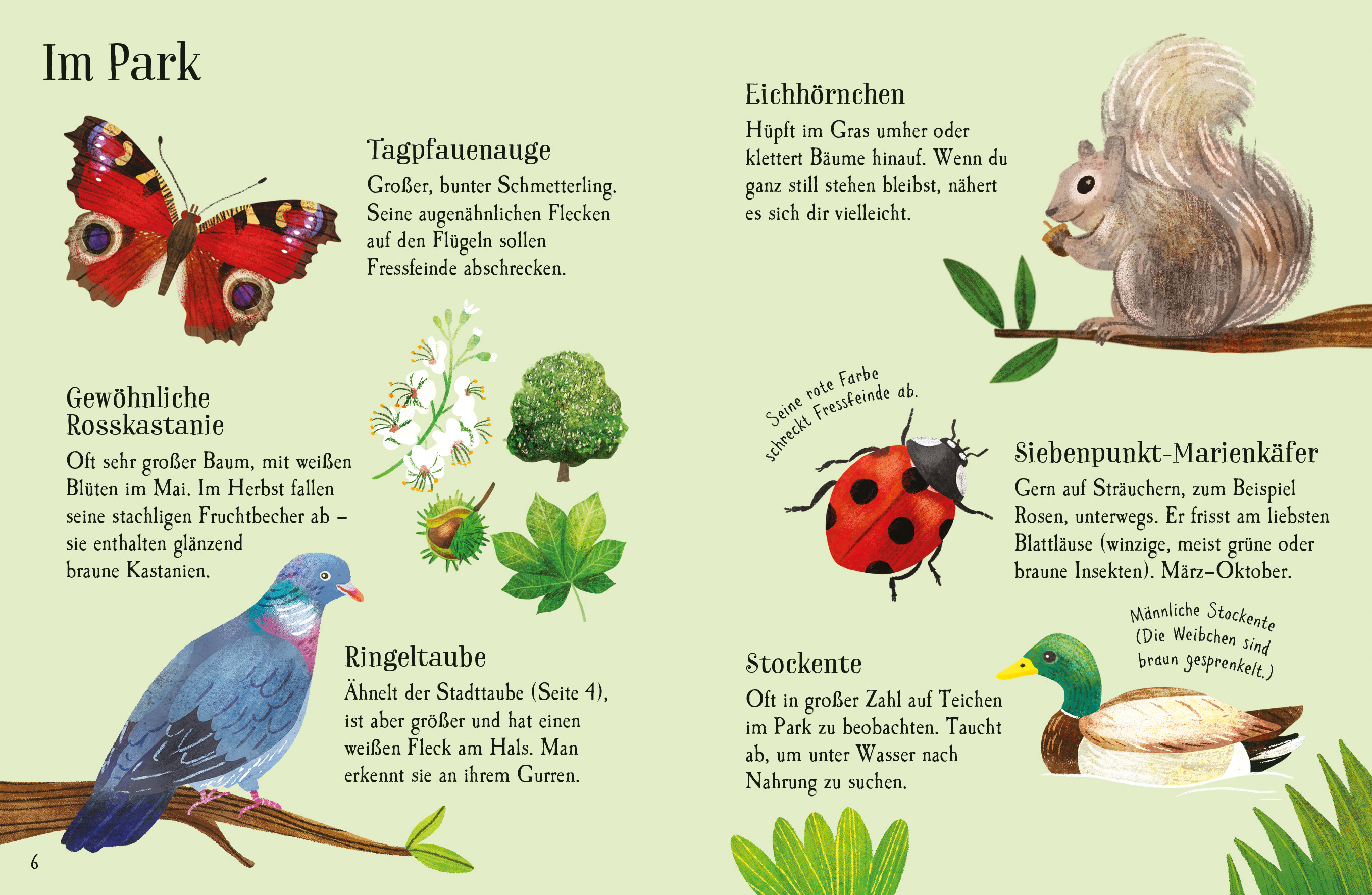 9781035701636_innenansicht_01 9781035701636_innenansicht_01.jpg