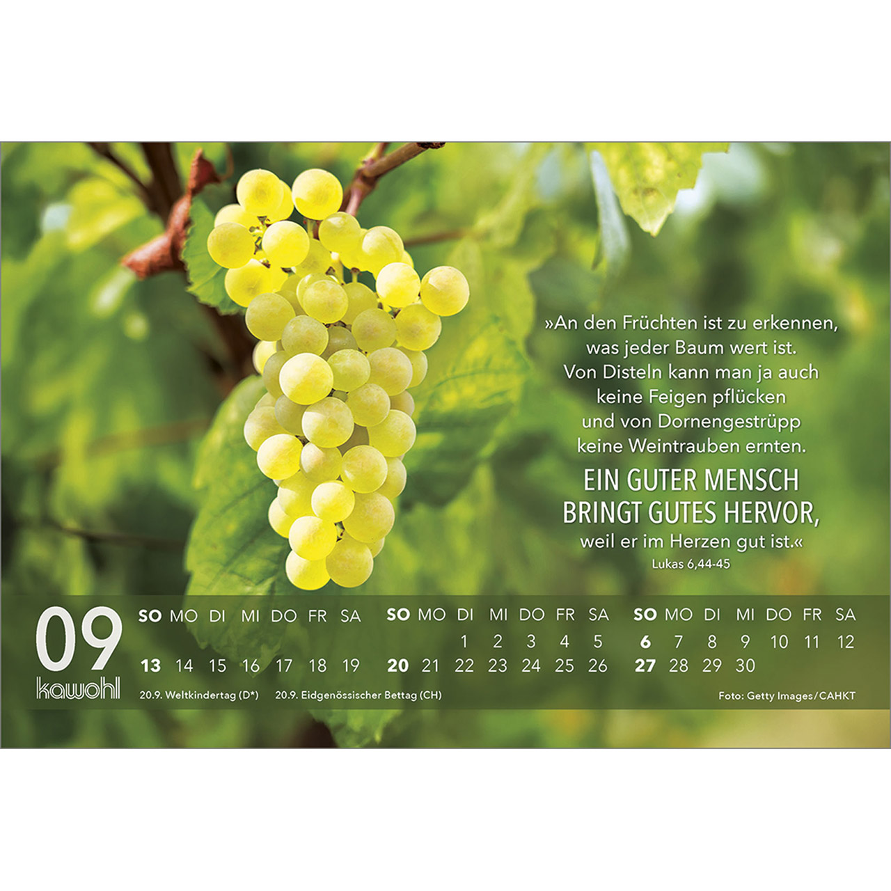 9783754891568_innenansicht_09 9783754891568_innenansicht_09.jpg