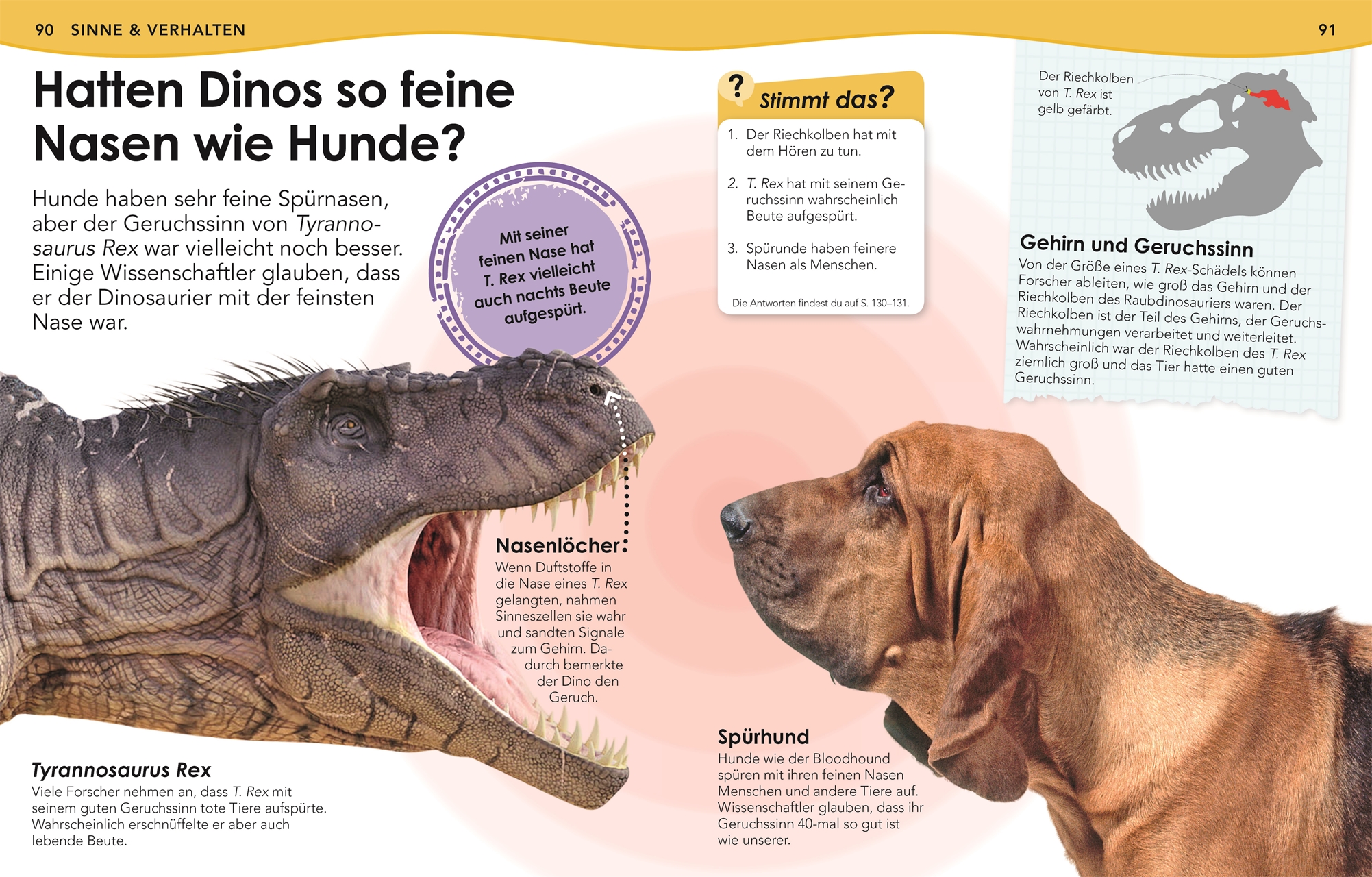 9783831040582_innenansicht_06.jpg