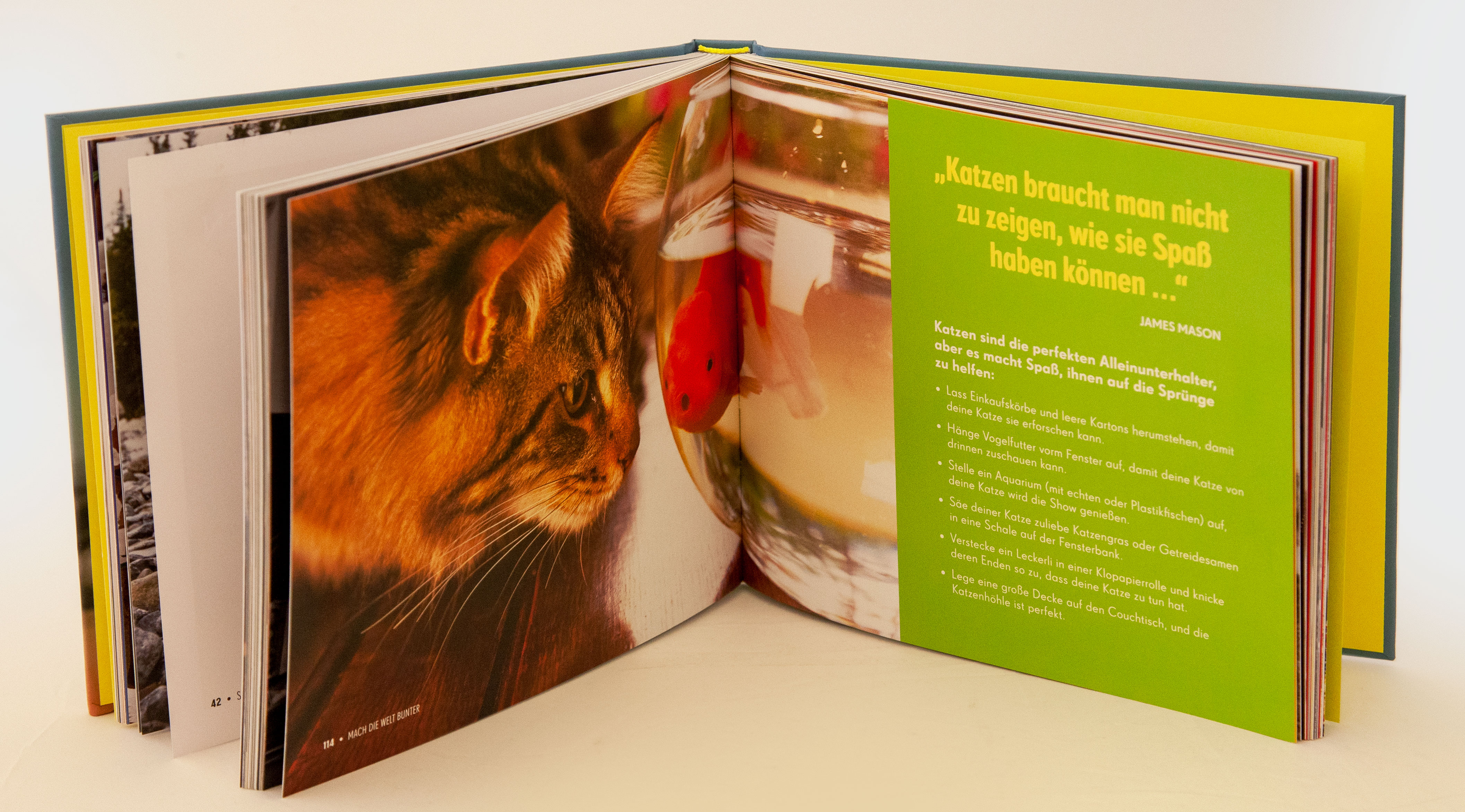 9783431041057_innenansicht_05 9783431041057_innenansicht_05.jpg