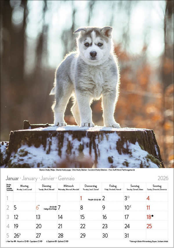 9783731883616_innenansicht_01 9783731883616_innenansicht_01.jpg